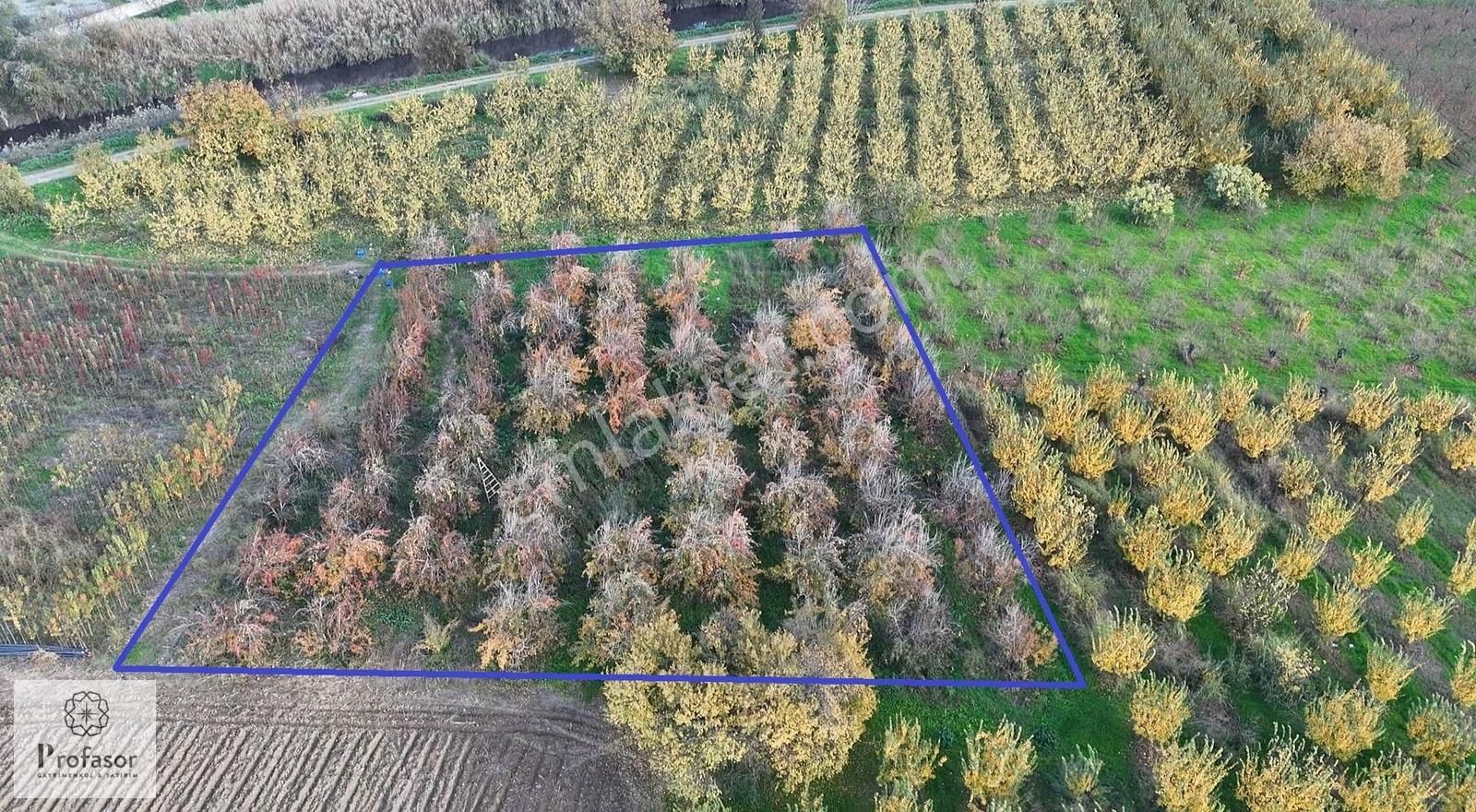 Profasor *dan Yeniceabat*ta Yatırımlık 2205m2 Tarla - Görsel 2