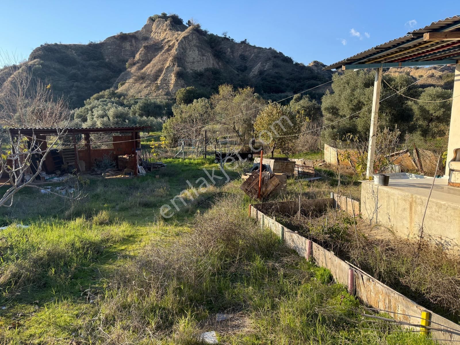 Aydın Nazilli Kestel Mahallesi – 2.200 M² İçinde Ev Bulunan Satılık Bahçe 2.500.000🔥🔥🔥 - Görsel 24