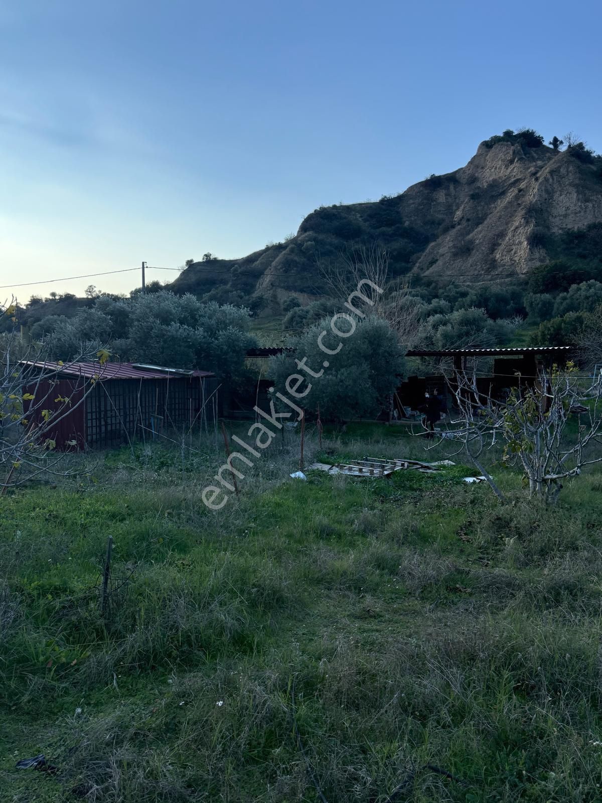 Aydın Nazilli Kestel Mahallesi – 2.200 M² İçinde Ev Bulunan Satılık Bahçe 2.500.000🔥🔥🔥 - Görsel 5