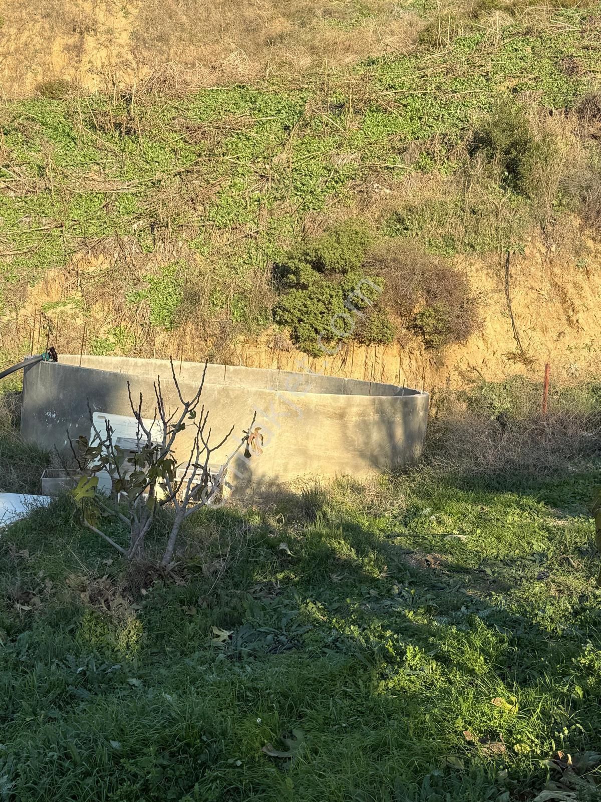 Aydın Nazilli Kestel Mahallesi – 2.200 M² İçinde Ev Bulunan Satılık Bahçe 2.500.000🔥🔥🔥 - Görsel 20