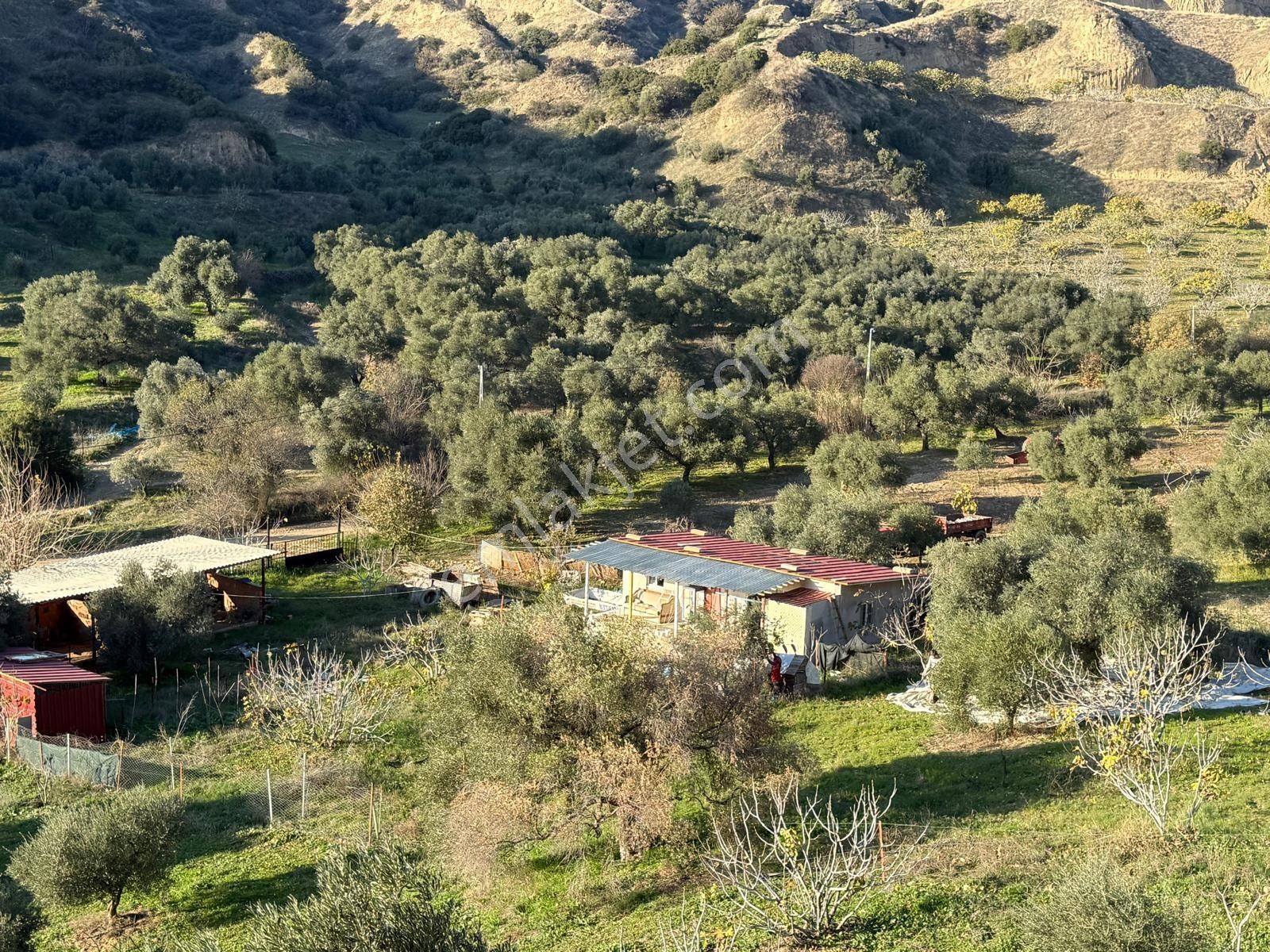 Aydın Nazilli Kestel Mahallesi – 2.200 M² İçinde Ev Bulunan Satılık Bahçe 2.500.000🔥🔥🔥 - Görsel 19