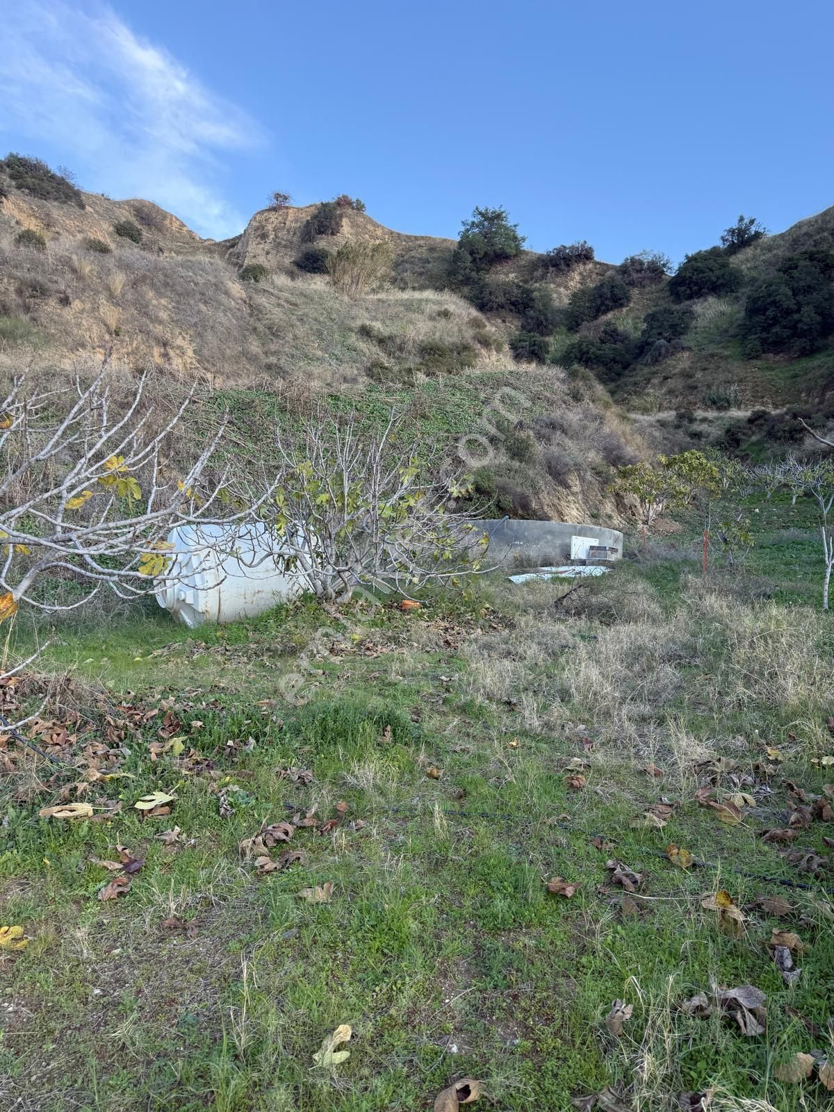 Aydın Nazilli Kestel Mahallesi – 2.200 M² İçinde Ev Bulunan Satılık Bahçe 2.500.000🔥🔥🔥 - Görsel 12