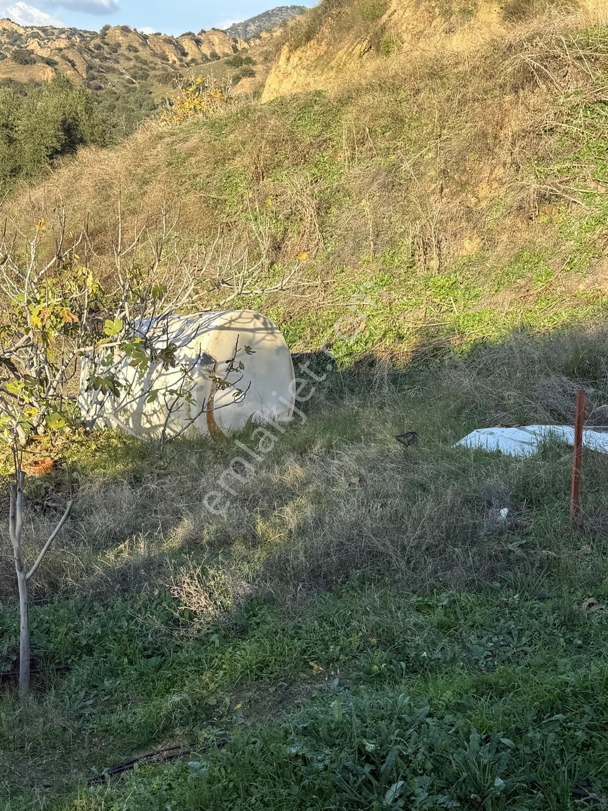 Aydın Nazilli Kestel Mahallesi – 2.200 M² İçinde Ev Bulunan Satılık Bahçe 2.500.000🔥🔥🔥 - Görsel 15