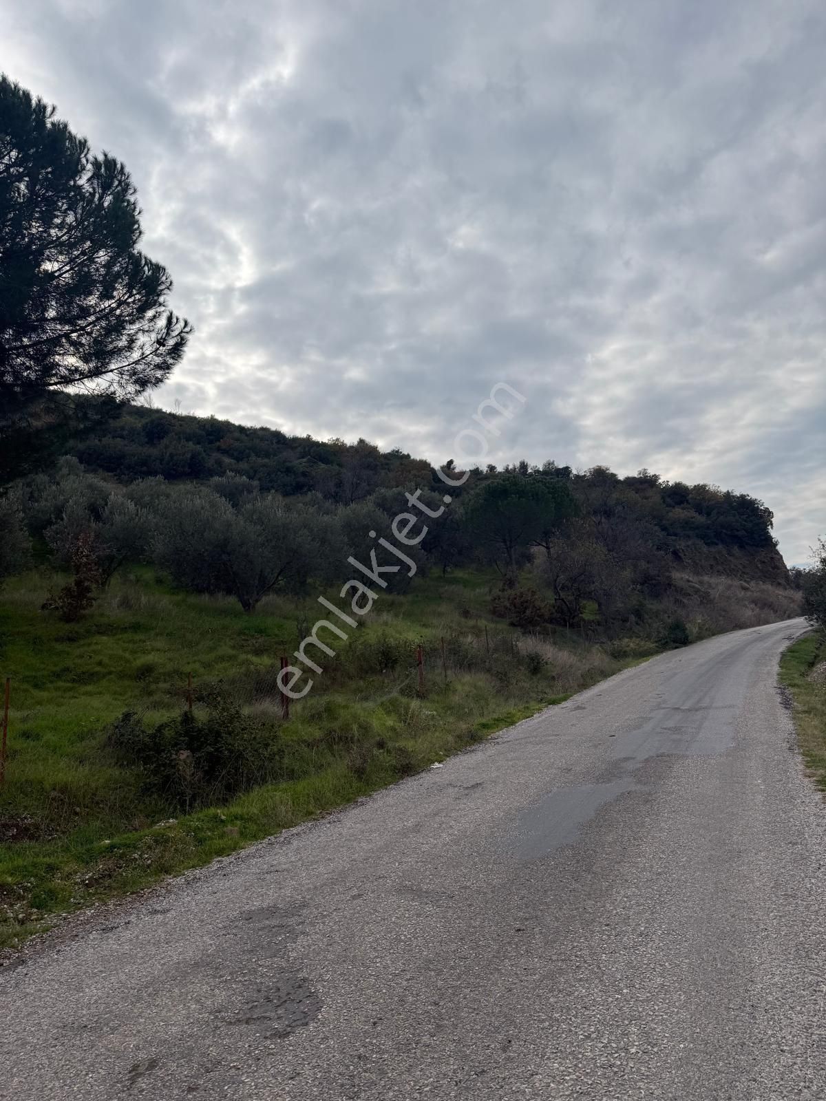 Saadet Korkmaz Emlak'tan Dikili Esentepe'de Yola Cepheli Satılık 8 Dönüm Tarla - Görsel 3