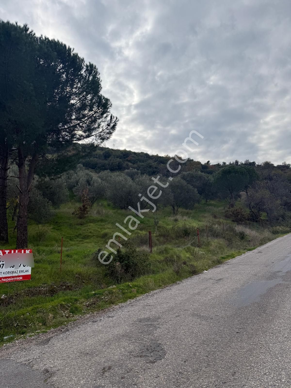 Saadet Korkmaz Emlak'tan Dikili Esentepe'de Yola Cepheli Satılık 8 Dönüm Tarla