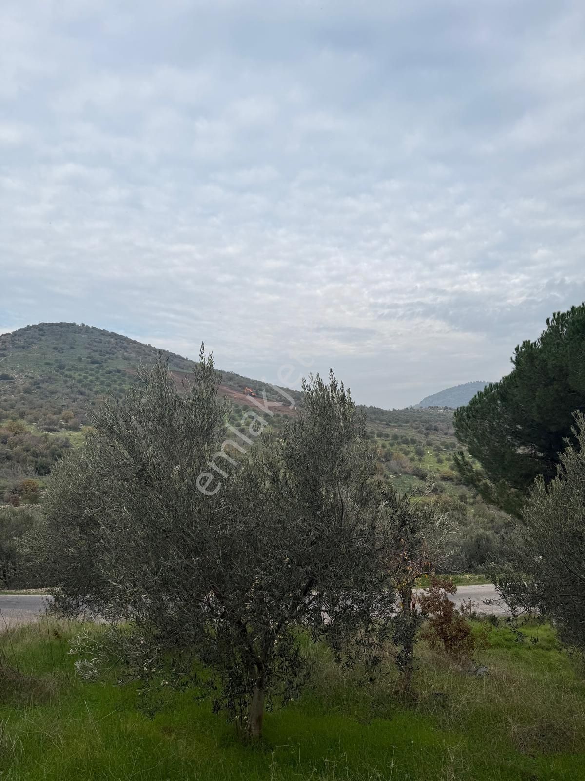 Saadet Korkmaz Emlak'tan Dikili Esentepe'de Yola Cepheli Satılık 8 Dönüm Tarla - Görsel 25