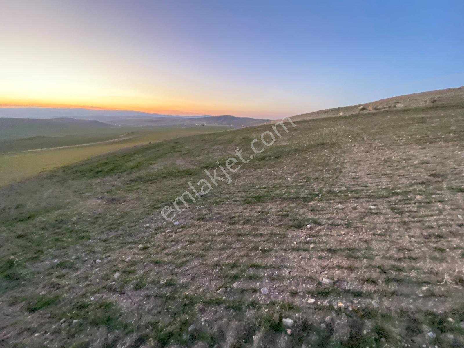 Gölbaşı Selametli De Tek Tapu 21.730 M2 Tarla Karadeniz Emlaktan - Görsel 16