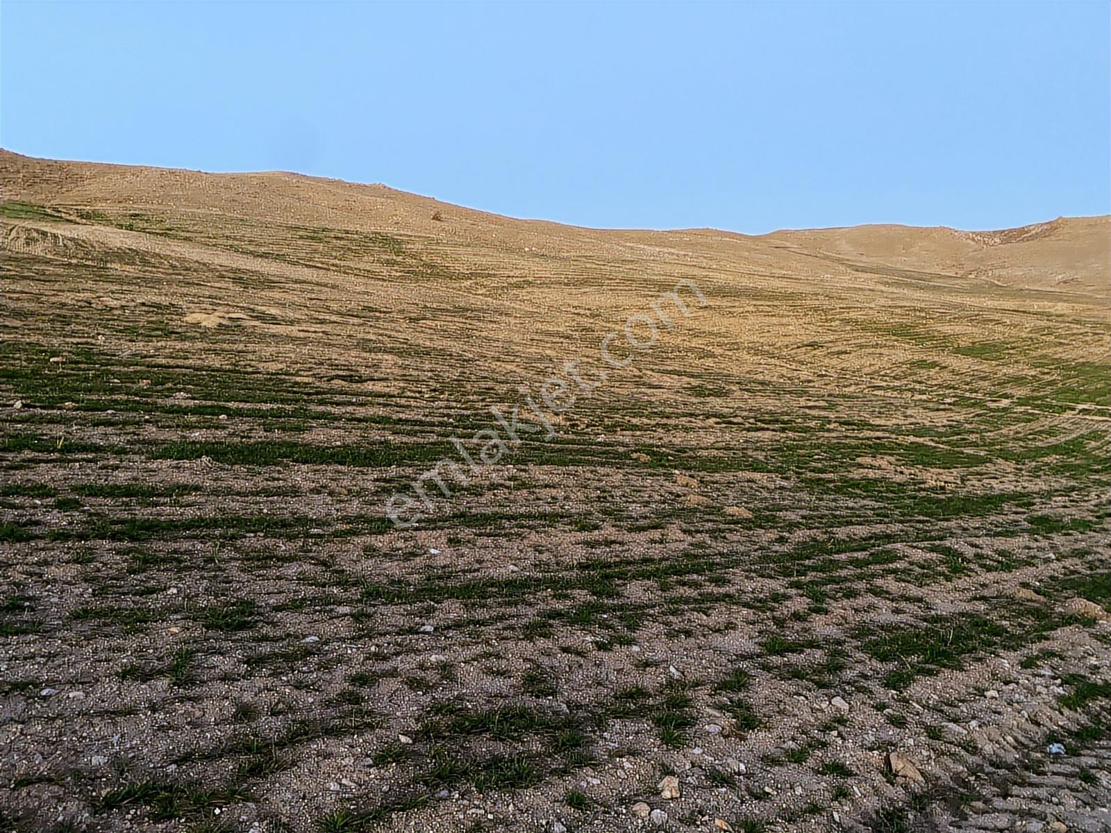 Gölbaşı Selametli De Tek Tapu 21.730 M2 Tarla Karadeniz Emlaktan - Görsel 6