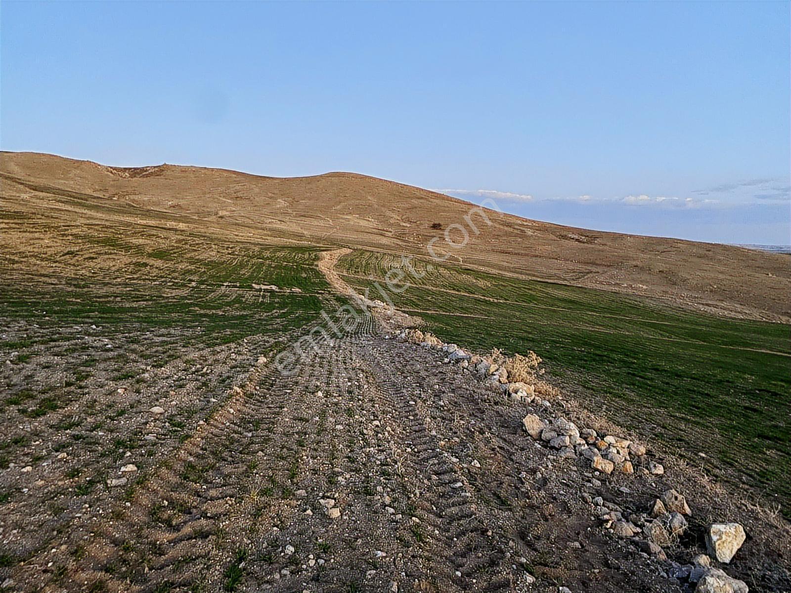 Gölbaşı Selametli De Tek Tapu 21.730 M2 Tarla Karadeniz Emlaktan - Görsel 10