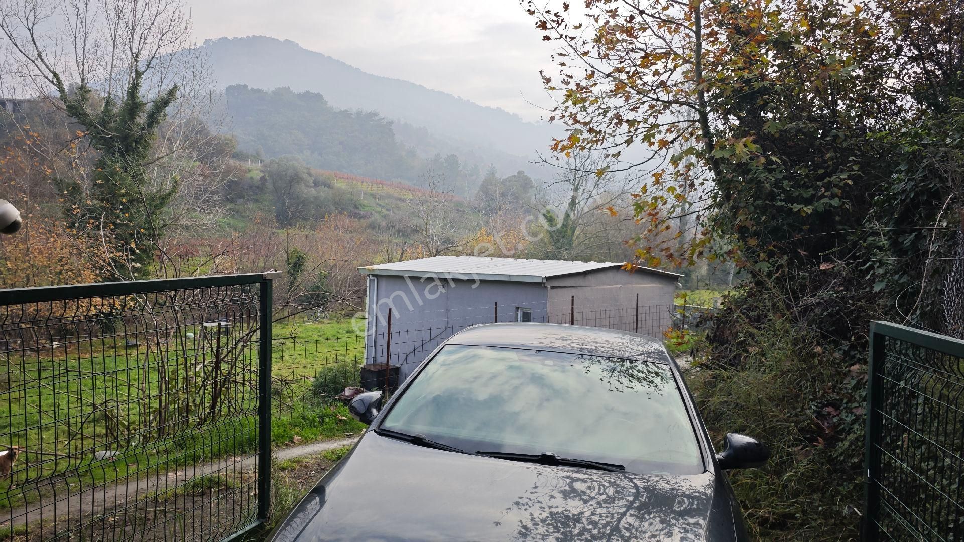 Seferihisar Gödence Mh Satılık Zeytin Ağaçlı Yarla - Görsel 19