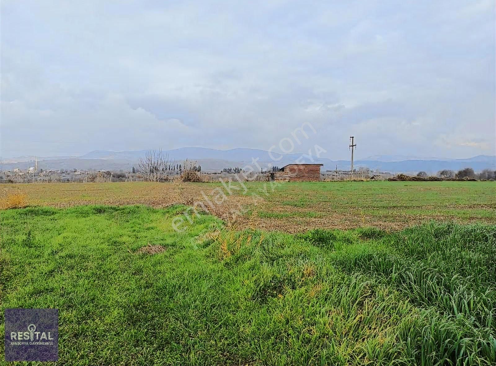 M.kemalpaşa Melik 3.162m2 Hobi Bahçesi - Görsel 3
