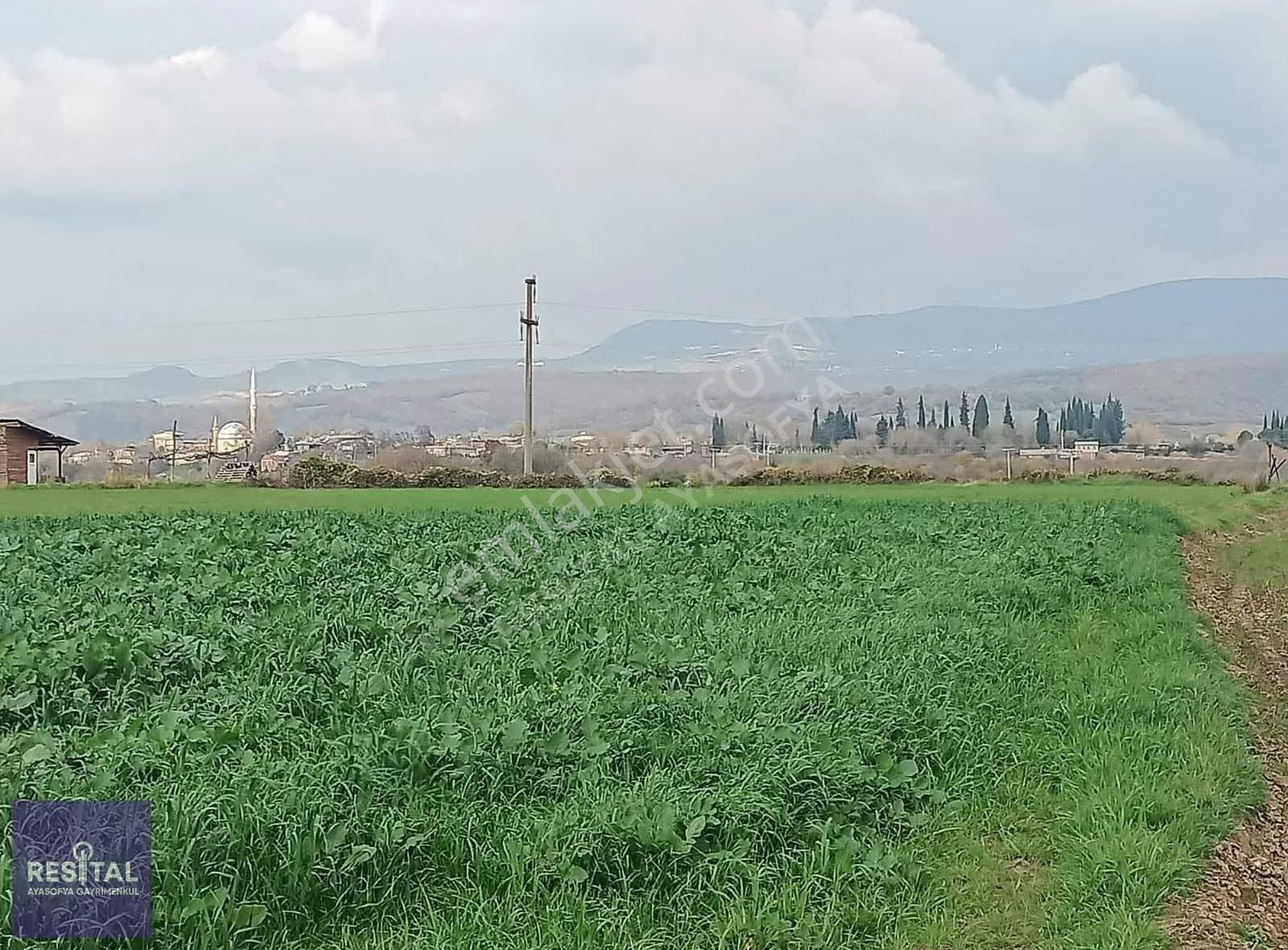 M.kemalpaşa Melik 3.162m2 Hobi Bahçesi