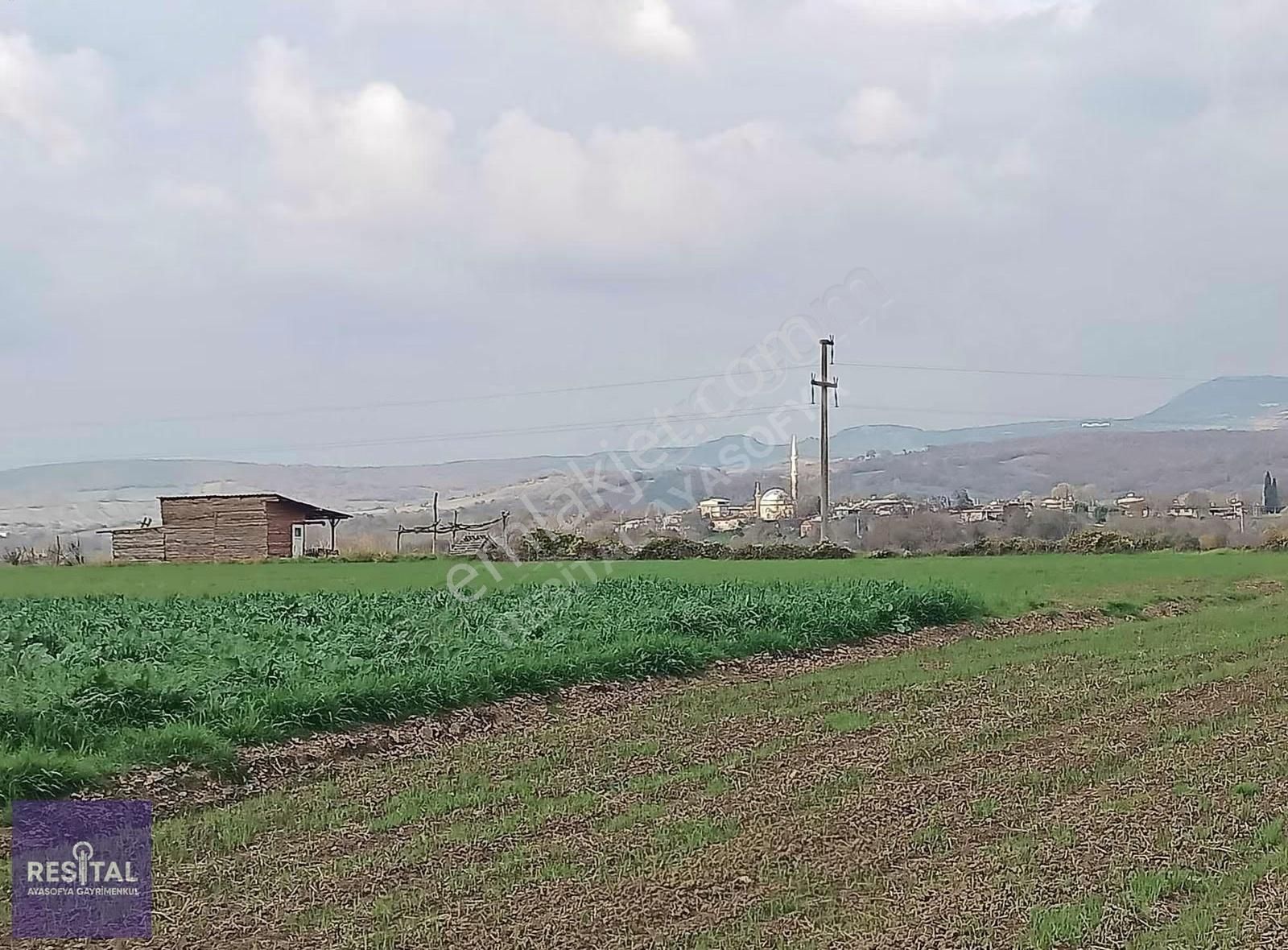 M.kemalpaşa Melik 3.162m2 Hobi Bahçesi - Görsel 9