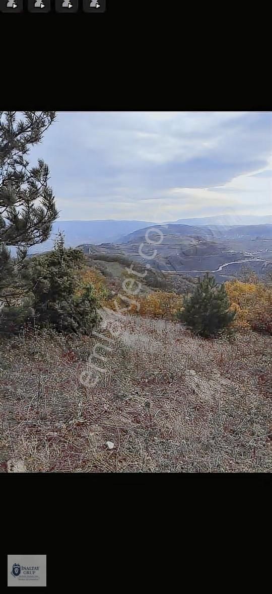 Bursa İnegölde Satılık 8 Dönüm Tarla