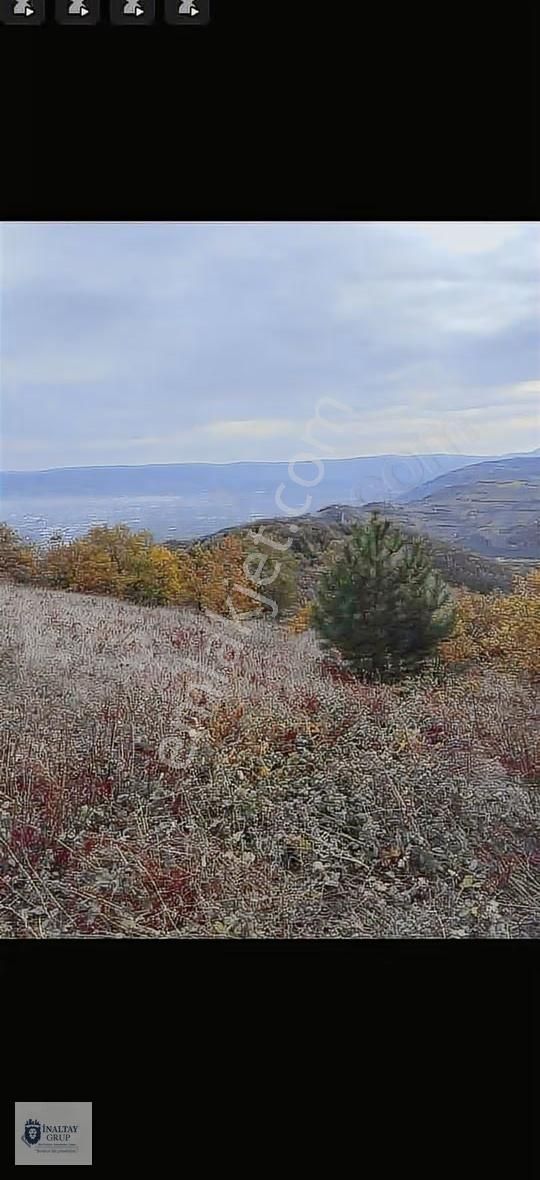 Bursa İnegölde Satılık 8 Dönüm Tarla - Görsel 7