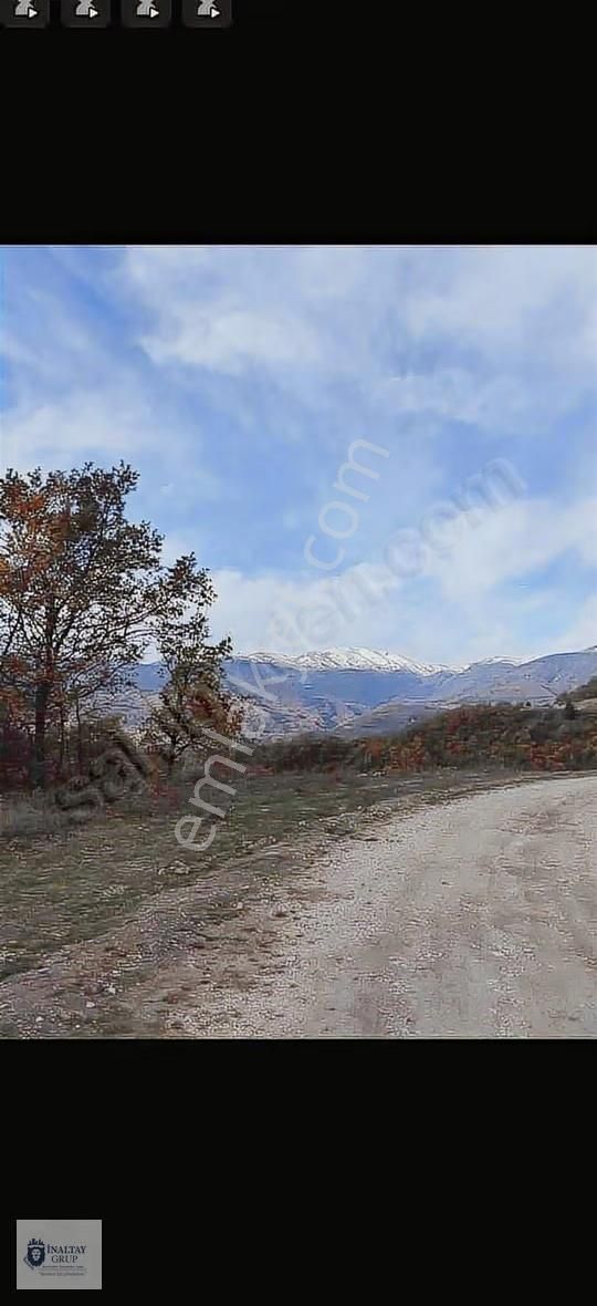 Bursa İnegölde Satılık 8 Dönüm Tarla - Görsel 3