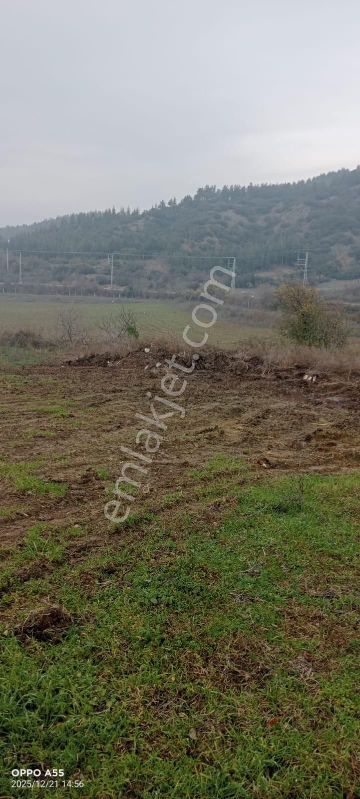 Adalet Gold Group Emlak'tan Satılık 3.500 Dönüm Ahırlı - Görsel 3
