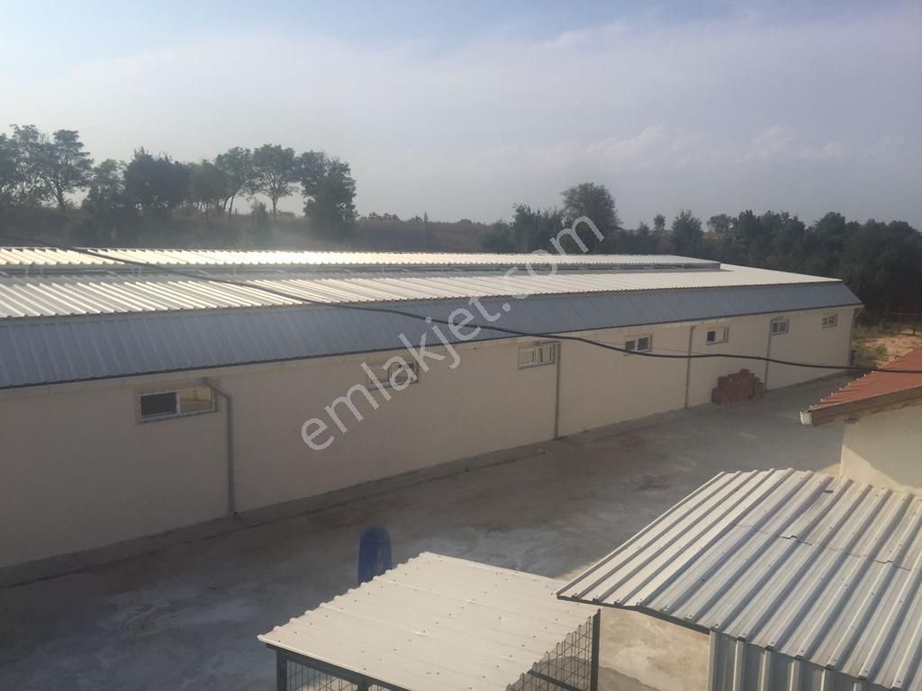 Babaeski Yeniköyde 10,000m Arsada Satılık Düşeş Kazandıracak Çiftlik No:565 - Görsel 13