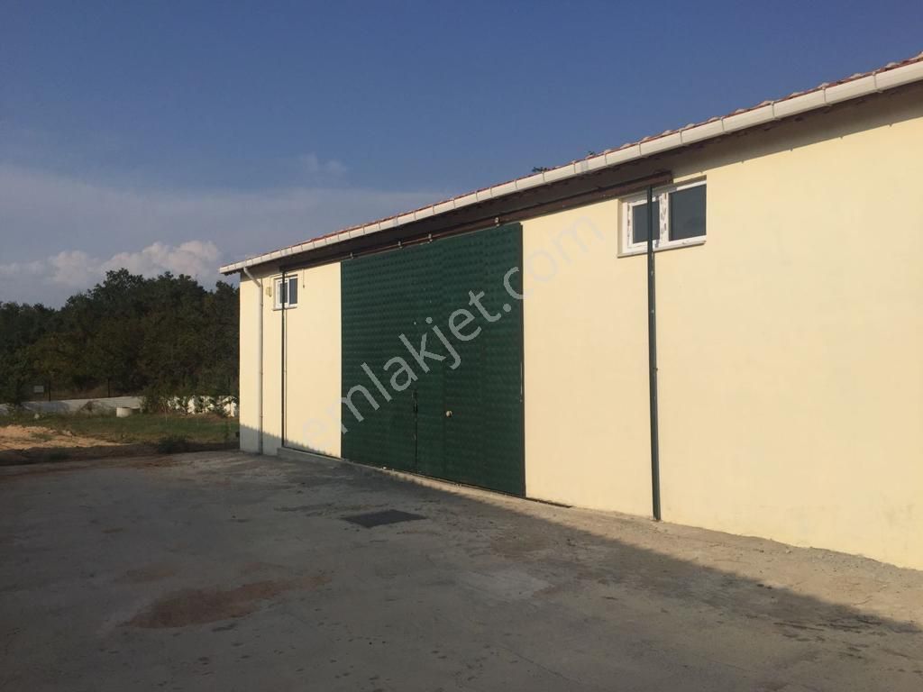 Babaeski Yeniköyde 10,000m Arsada Satılık Düşeş Kazandıracak Çiftlik No:565 - Görsel 17