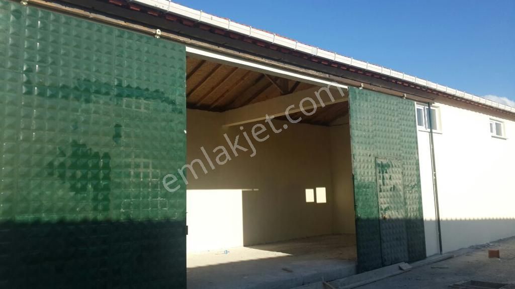 Babaeski Yeniköyde 10,000m Arsada Satılık Düşeş Kazandıracak Çiftlik No:565 - Görsel 4