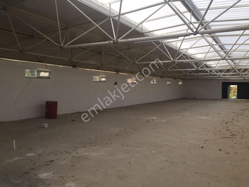 Babaeski Yeniköyde 10,000m Arsada Satılık Düşeş Kazandıracak Çiftlik No:565 - Görsel 10