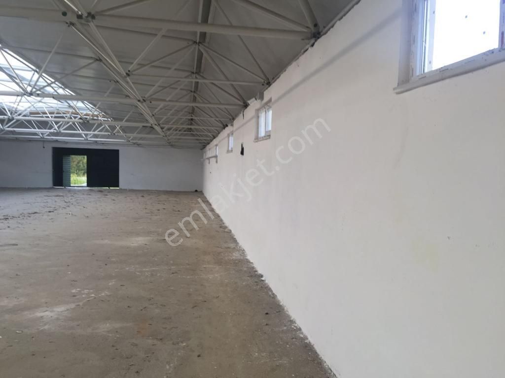 Babaeski Yeniköyde 10,000m Arsada Satılık Düşeş Kazandıracak Çiftlik No:565 - Görsel 7