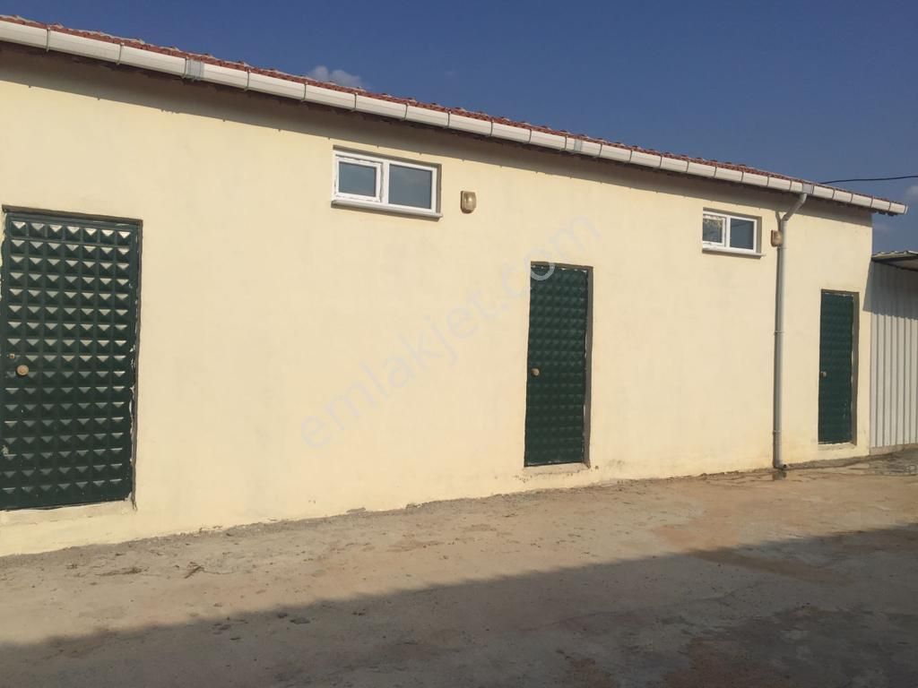 Babaeski Yeniköyde 10,000m Arsada Satılık Düşeş Kazandıracak Çiftlik No:565 - Görsel 14