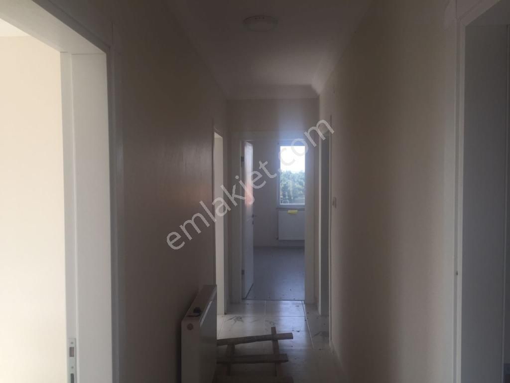 Babaeski Yeniköyde 10,000m Arsada Satılık Düşeş Kazandıracak Çiftlik No:565 - Görsel 11