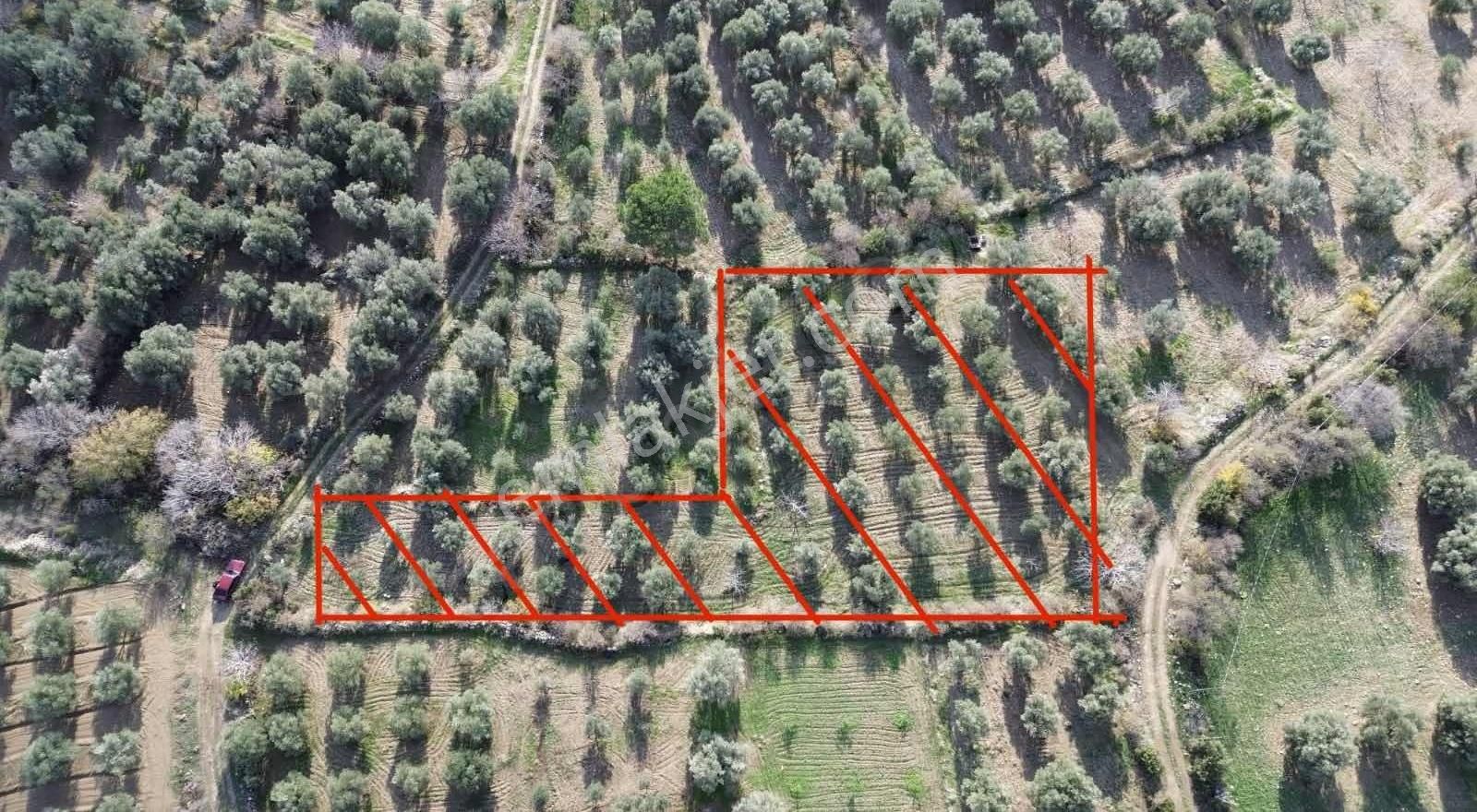 Karacasu Ataeymir Mah. Satılık 2.716 M2 Bahçe - Görsel 10