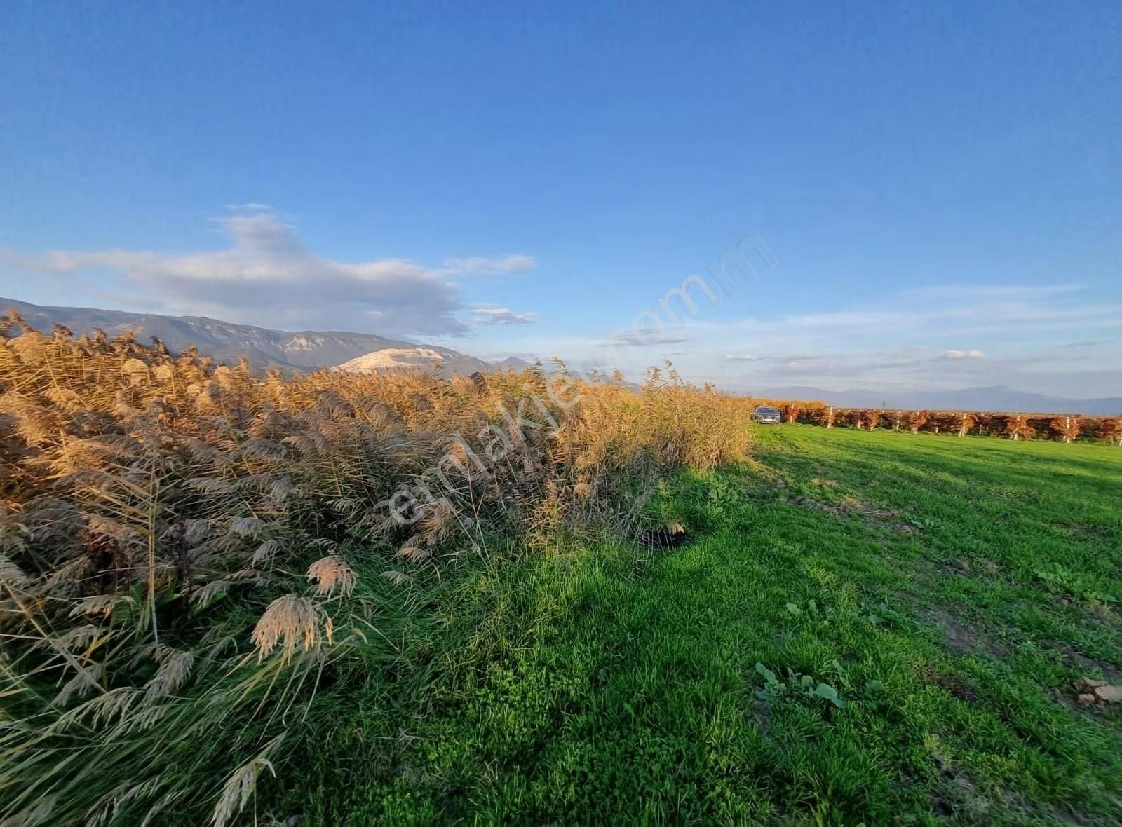 Fevziye Ovasında Yol Su Sorunu Olmayan 885m² Arazi - Görsel 25