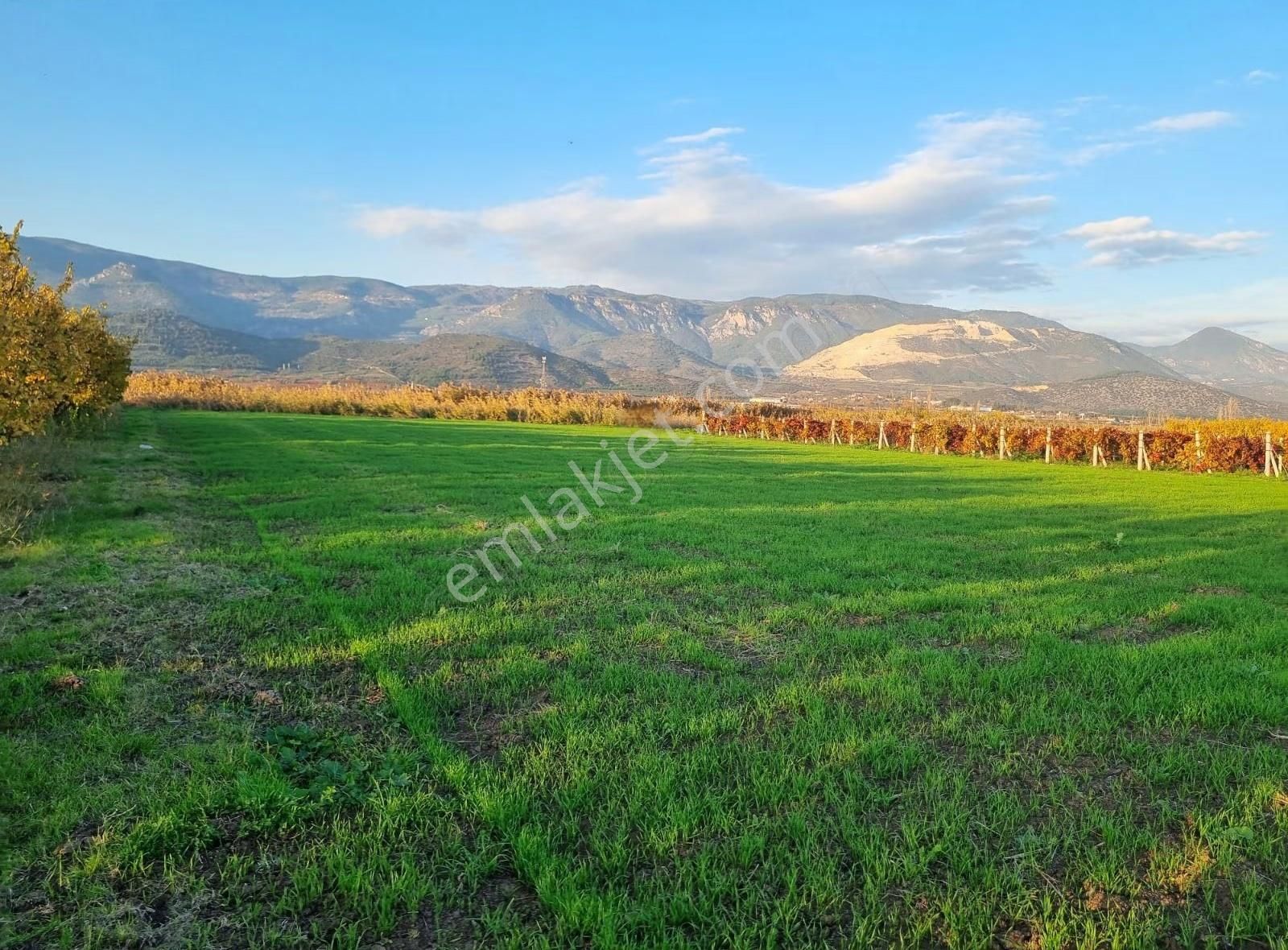 Fevziye Ovasında Yol Su Sorunu Olmayan 885m² Arazi - Görsel 16