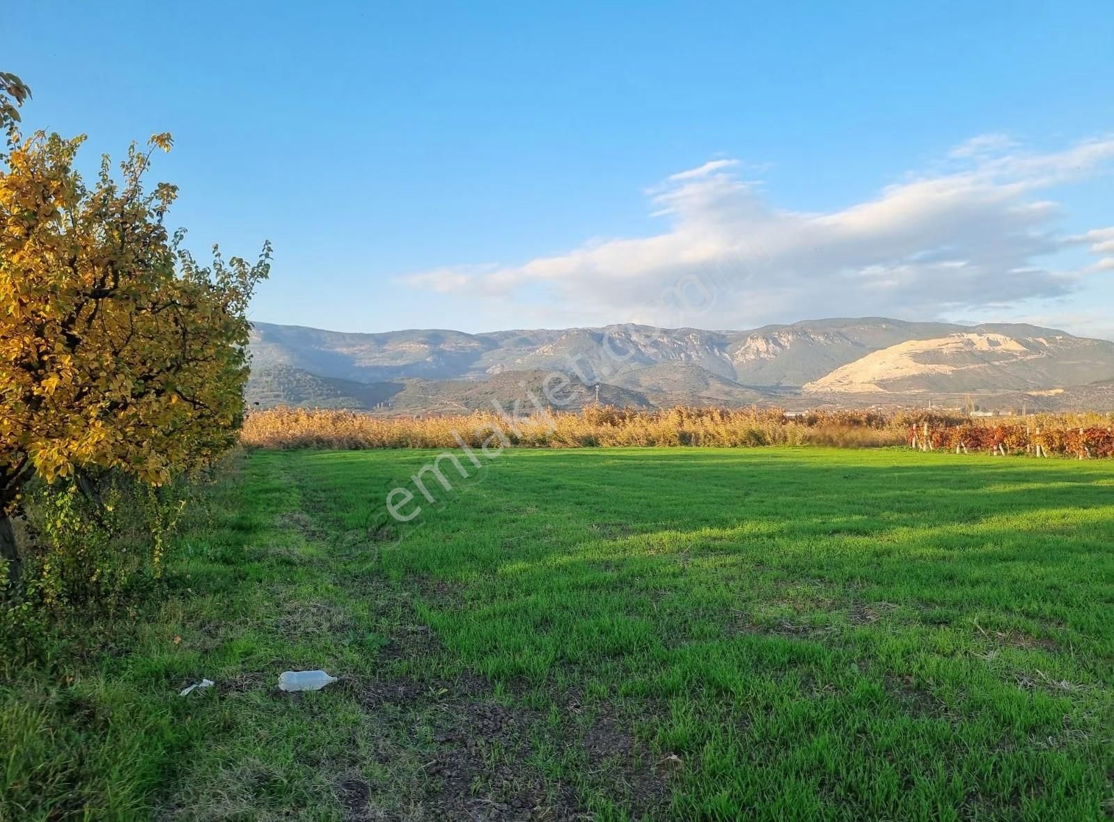 Fevziye Ovasında Yol Su Sorunu Olmayan 885m² Arazi - Görsel 21