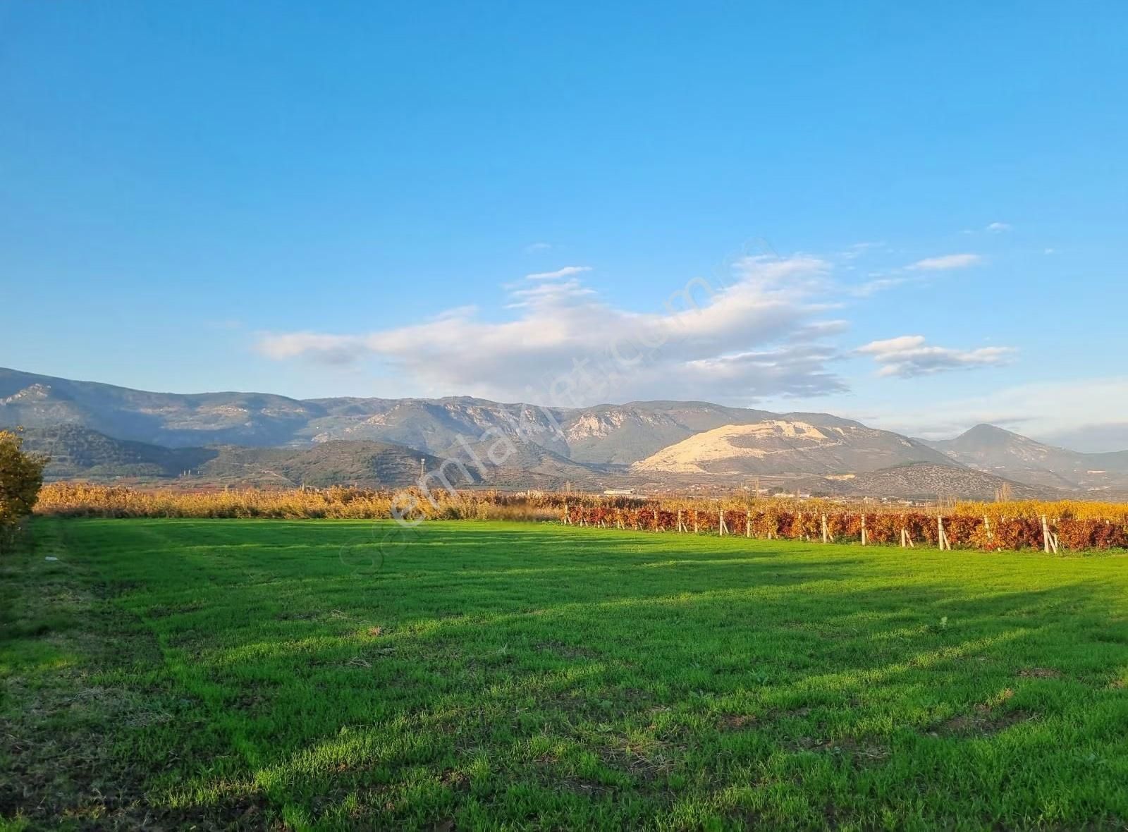 Fevziye Ovasında Yol Su Sorunu Olmayan 885m² Arazi - Görsel 18