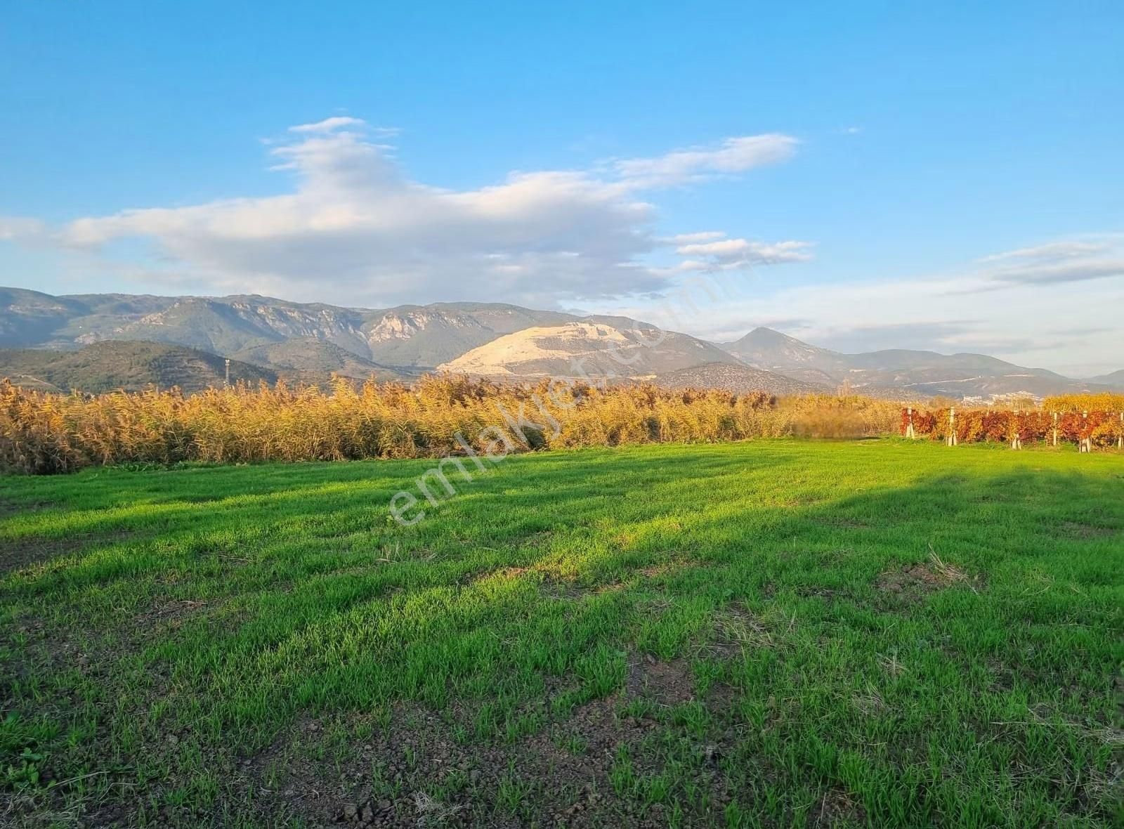 Fevziye Ovasında Yol Su Sorunu Olmayan 885m² Arazi - Görsel 7