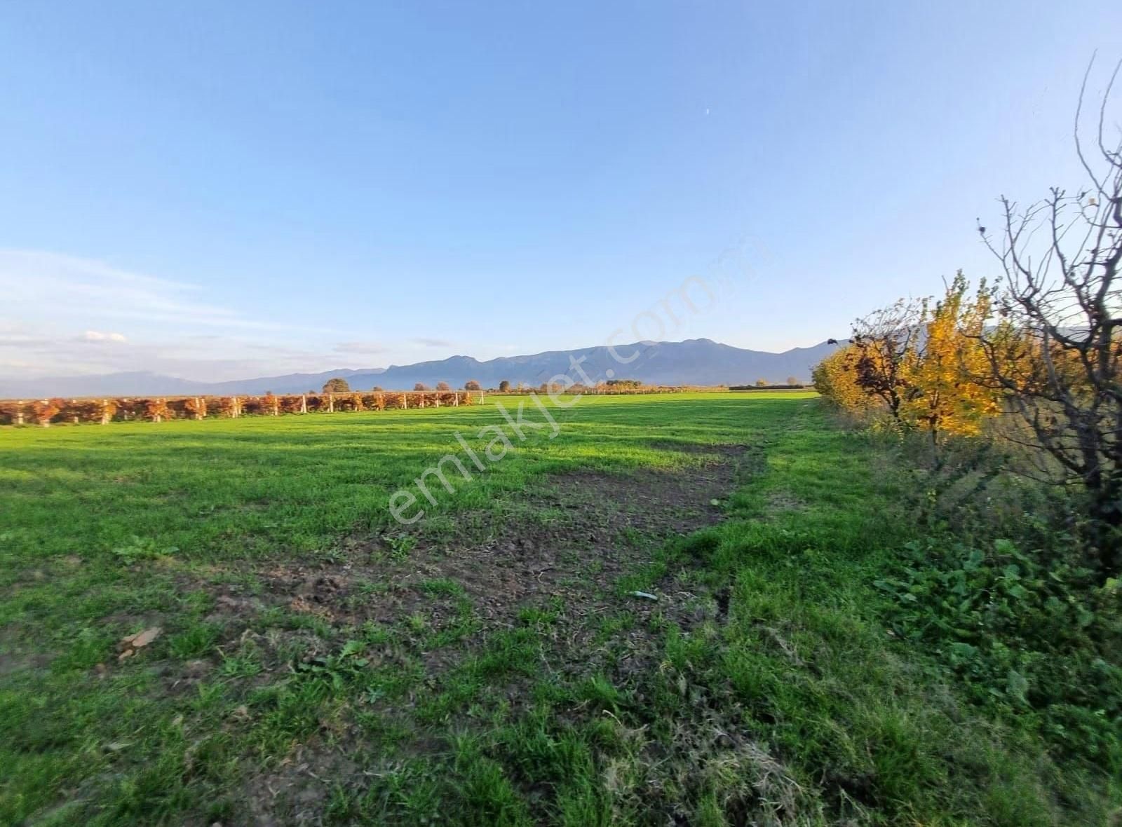 Fevziye Ovasında Yol Su Sorunu Olmayan 885m² Arazi - Görsel 2