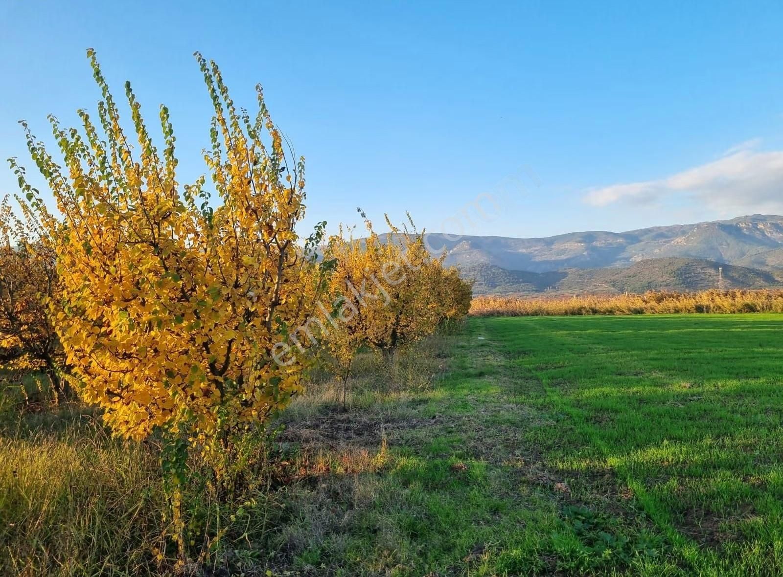 Fevziye Ovasında Yol Su Sorunu Olmayan 885m² Arazi - Görsel 11