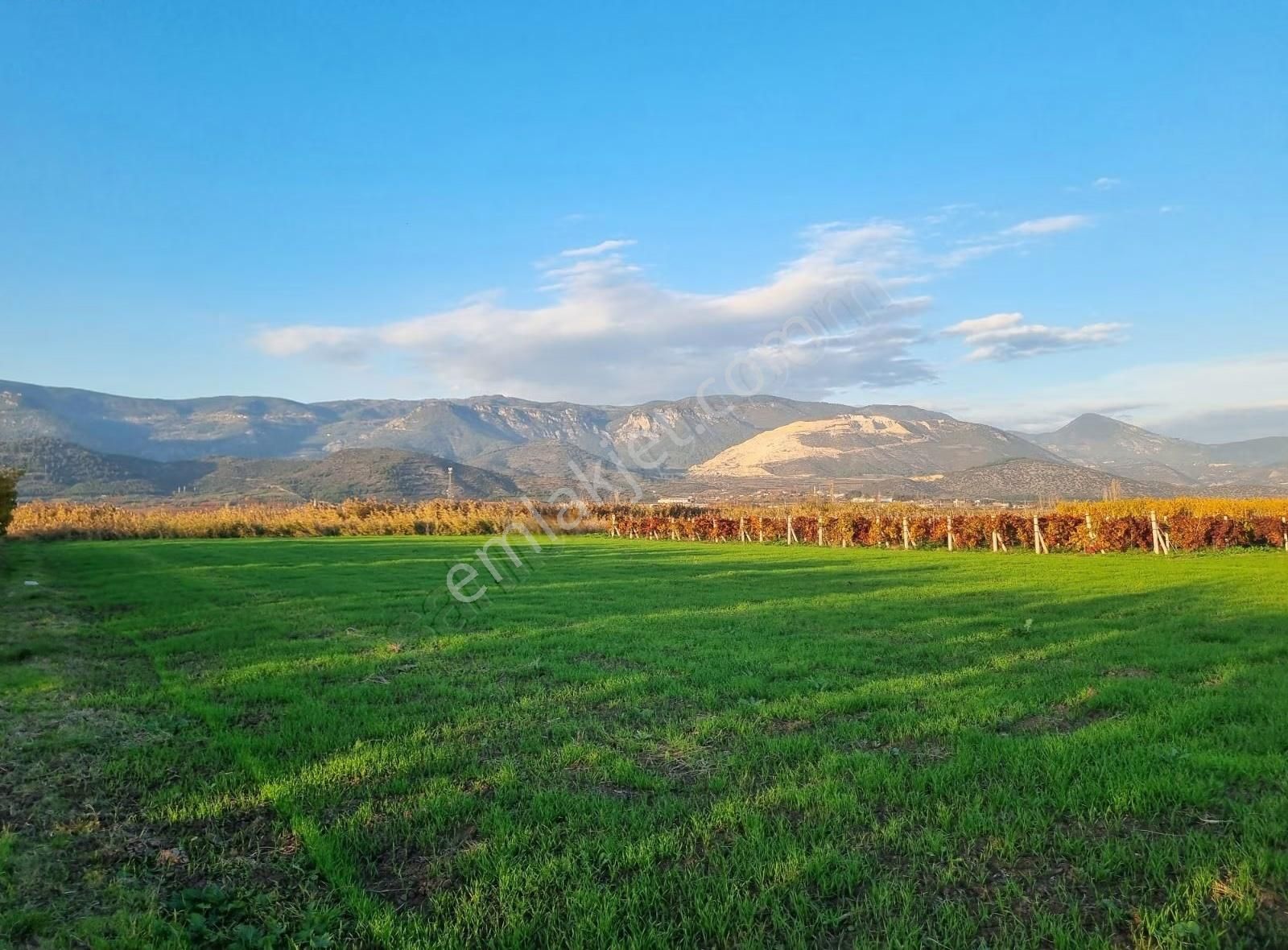 Fevziye Ovasında Yol Su Sorunu Olmayan 885m² Arazi - Görsel 17