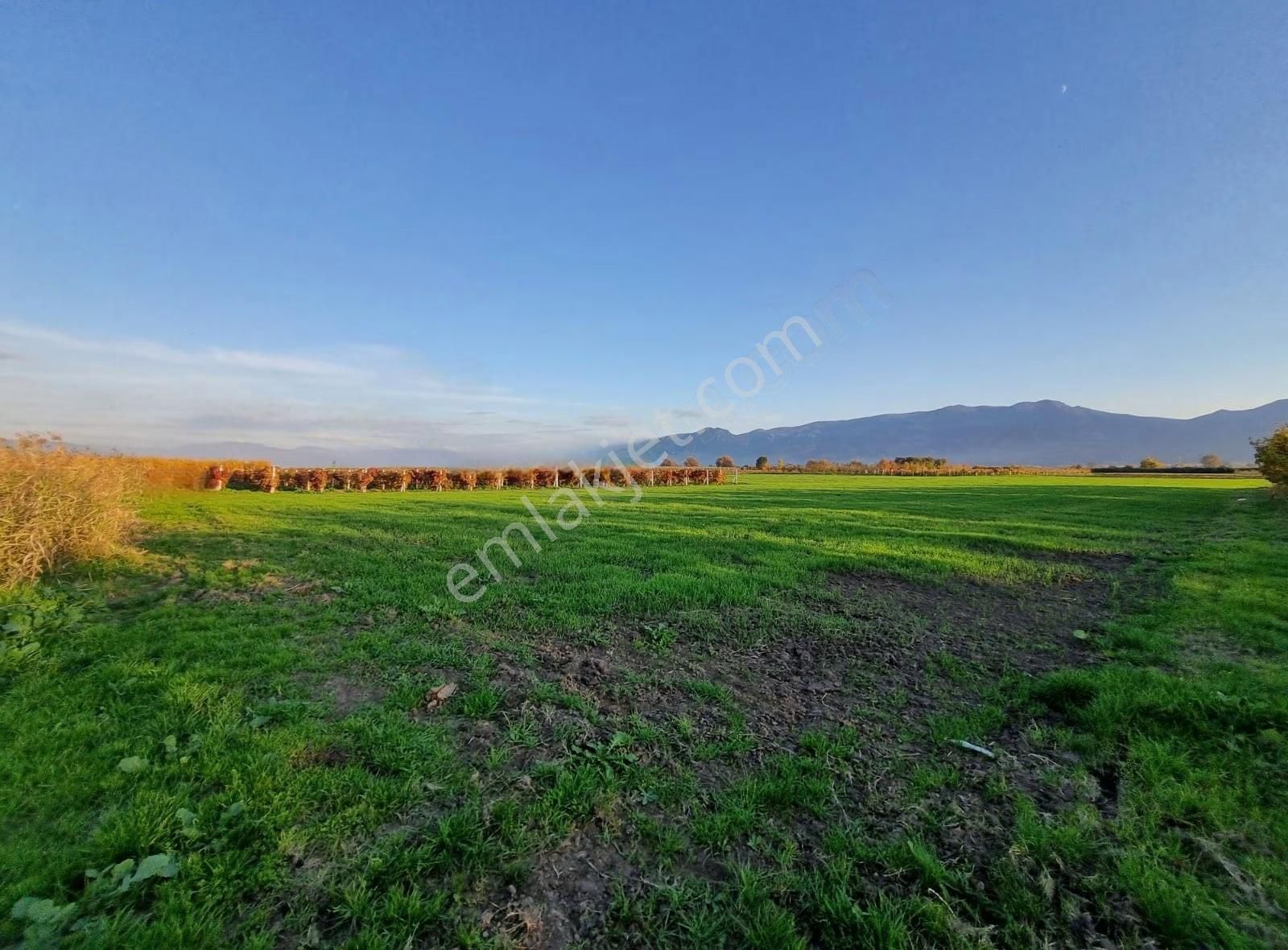 Fevziye Ovasında Yol Su Sorunu Olmayan 885m² Arazi - Görsel 4