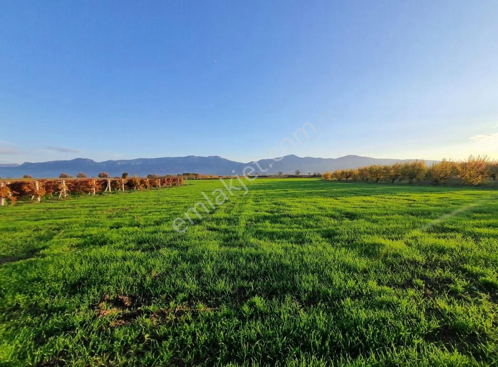Fevziye Ovasında Yol Su Sorunu Olmayan 885m² Arazi - Görsel 13