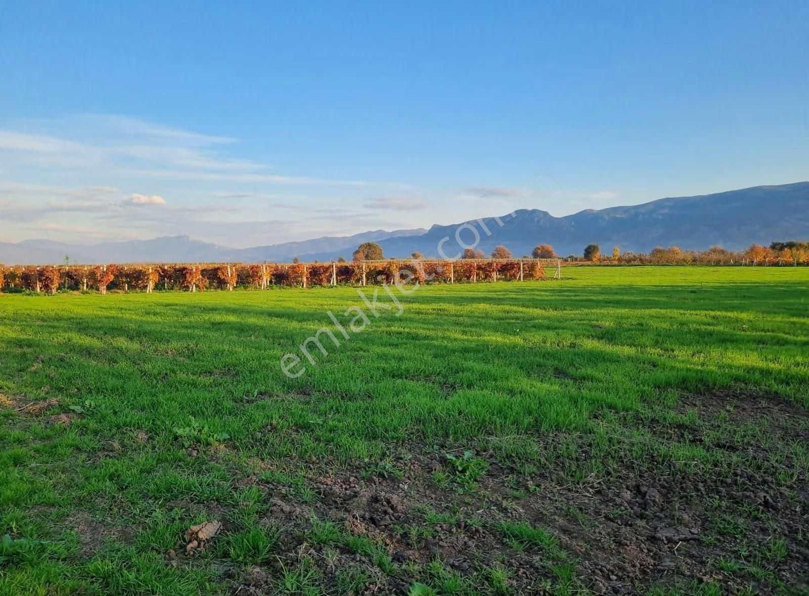 Fevziye Ovasında Yol Su Sorunu Olmayan 885m² Arazi - Görsel 10