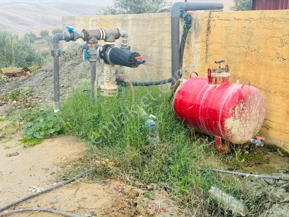 Tc Emlaktan Satılık 140 Dönüm Zeytinlik ! - Görsel 7