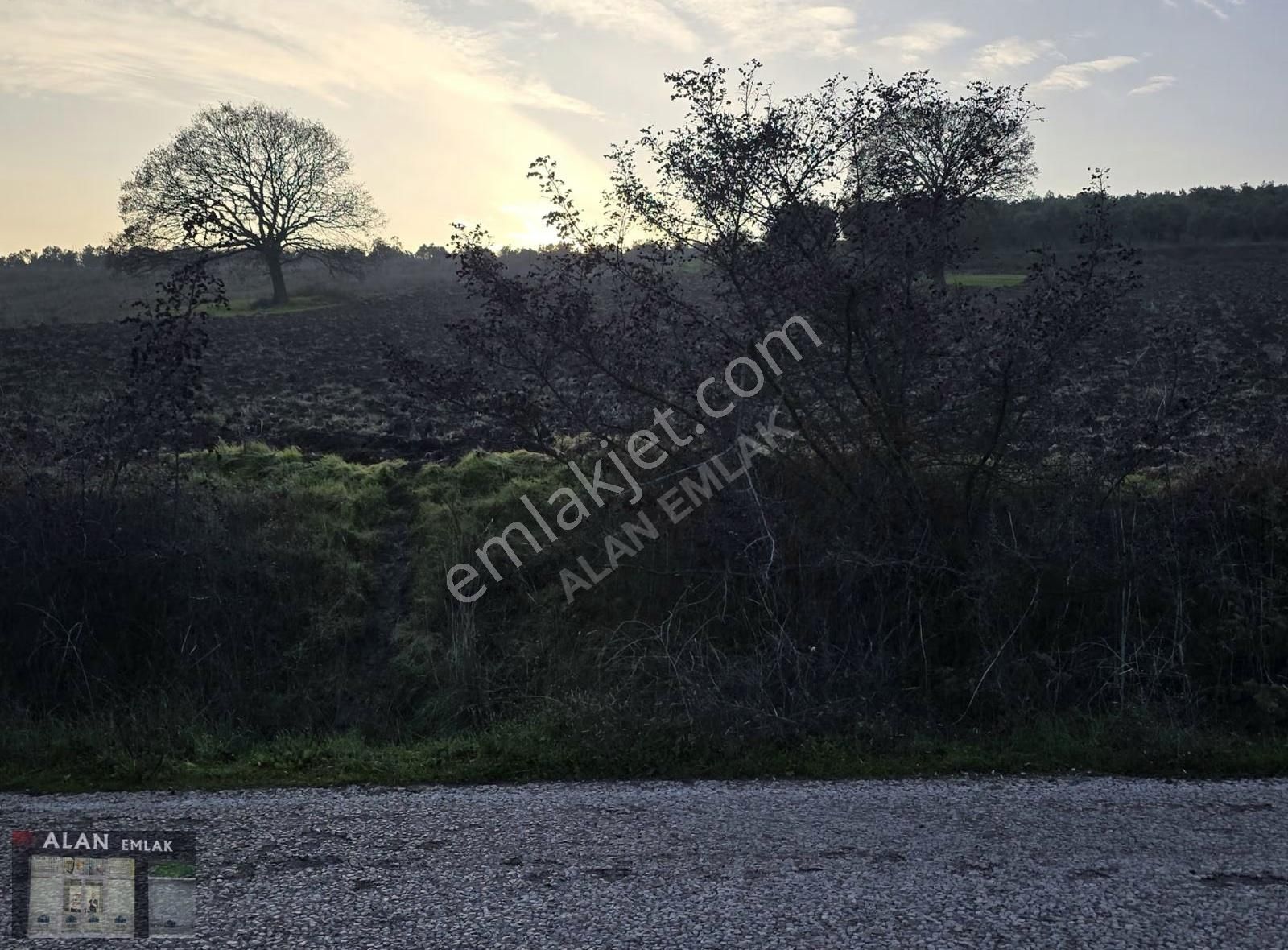 Hançerli Mah. Asfalta Cephe Si 111 M Düz Zemin Tarla Tapulu - Görsel 6