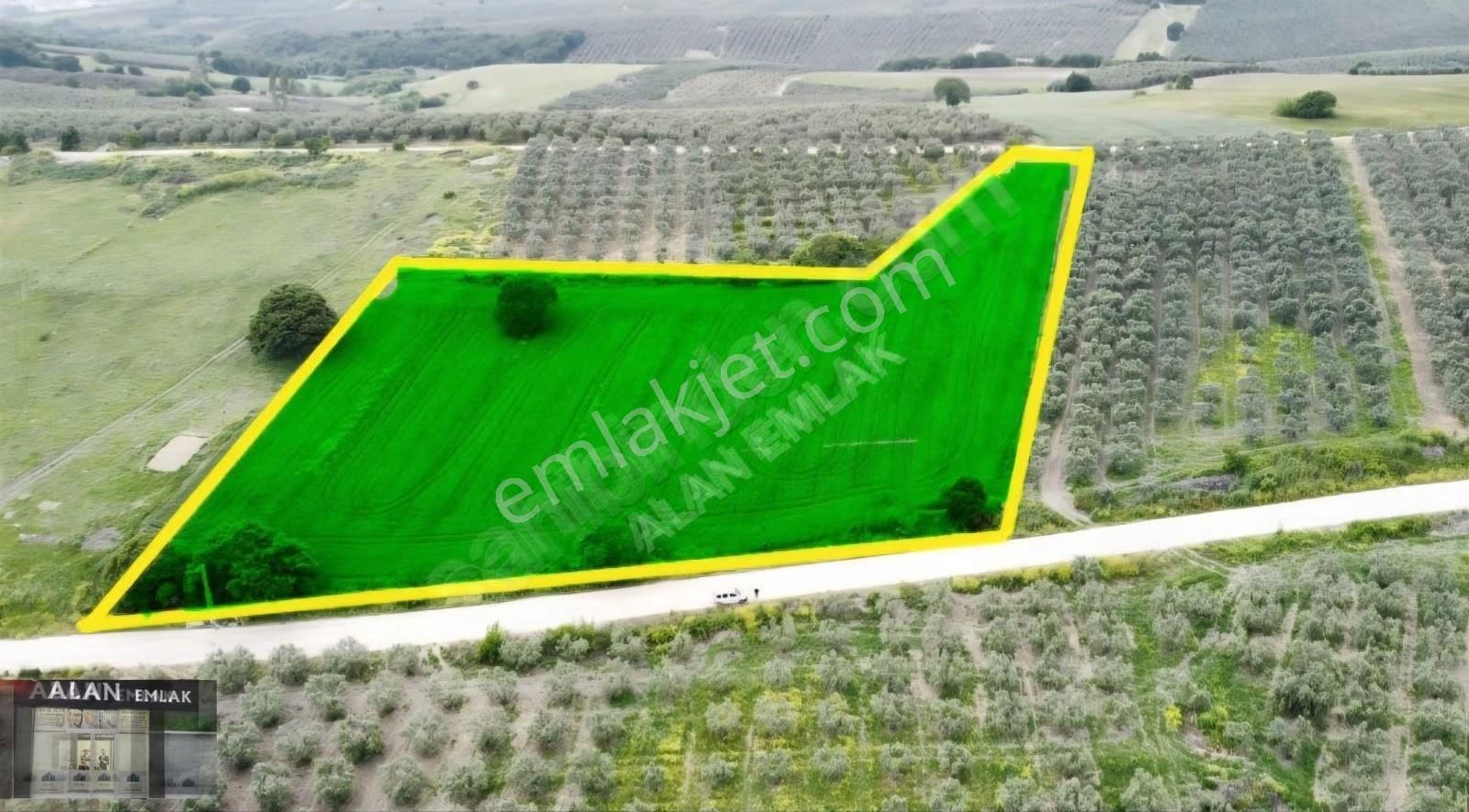 Hançerli Mah. Asfalta Cephe Si 111 M Düz Zemin Tarla Tapulu - Görsel 5