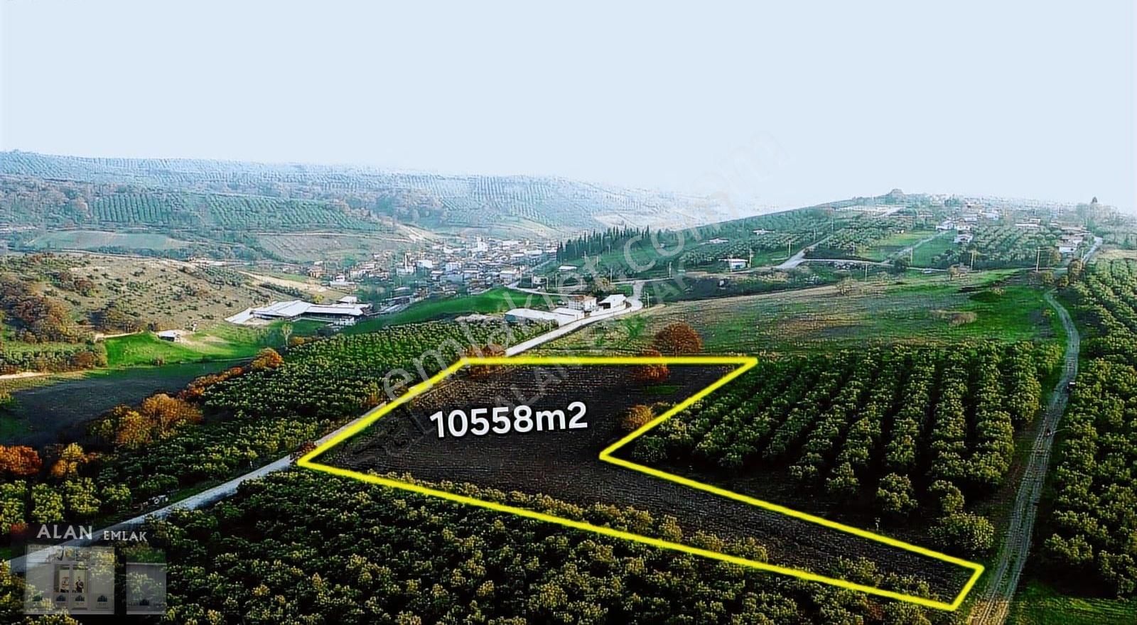 Hançerli Mah. Asfalta Cephe Si 111 M Düz Zemin Tarla Tapulu - Görsel 11