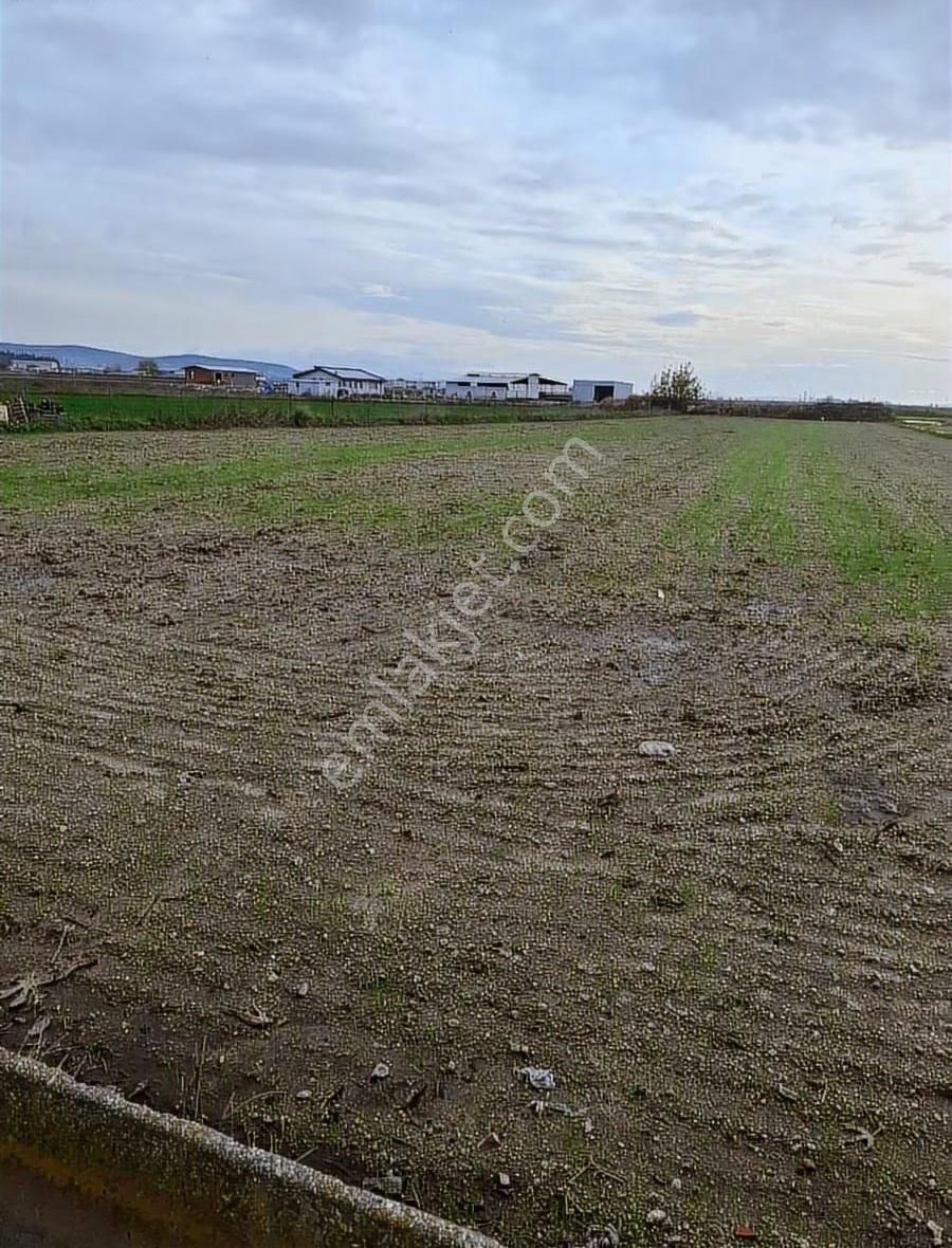 Foça Gerenköyde 5700 M2 Tek Tapu Arazim Acil Satılıktır - Görsel 34