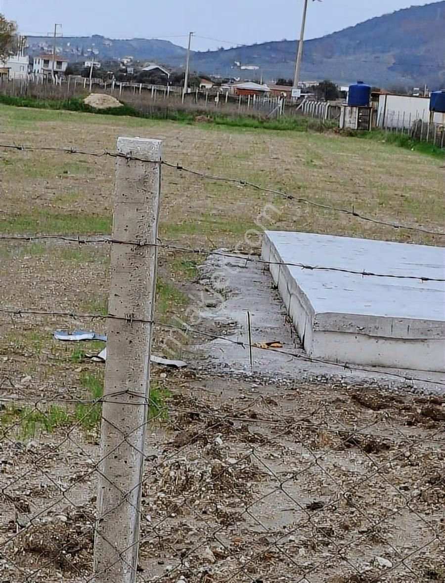 Foça Gerenköyde 5700 M2 Tek Tapu Arazim Acil Satılıktır - Görsel 18