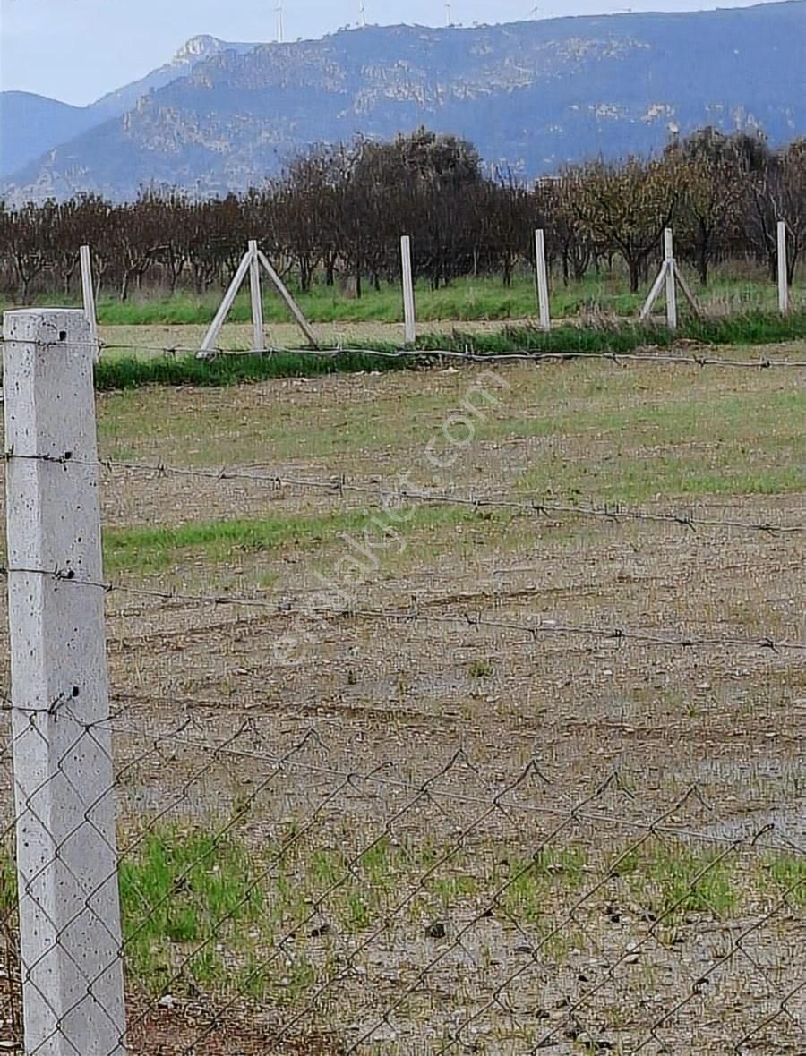 Foça Gerenköyde 5700 M2 Tek Tapu Arazim Acil Satılıktır - Görsel 30