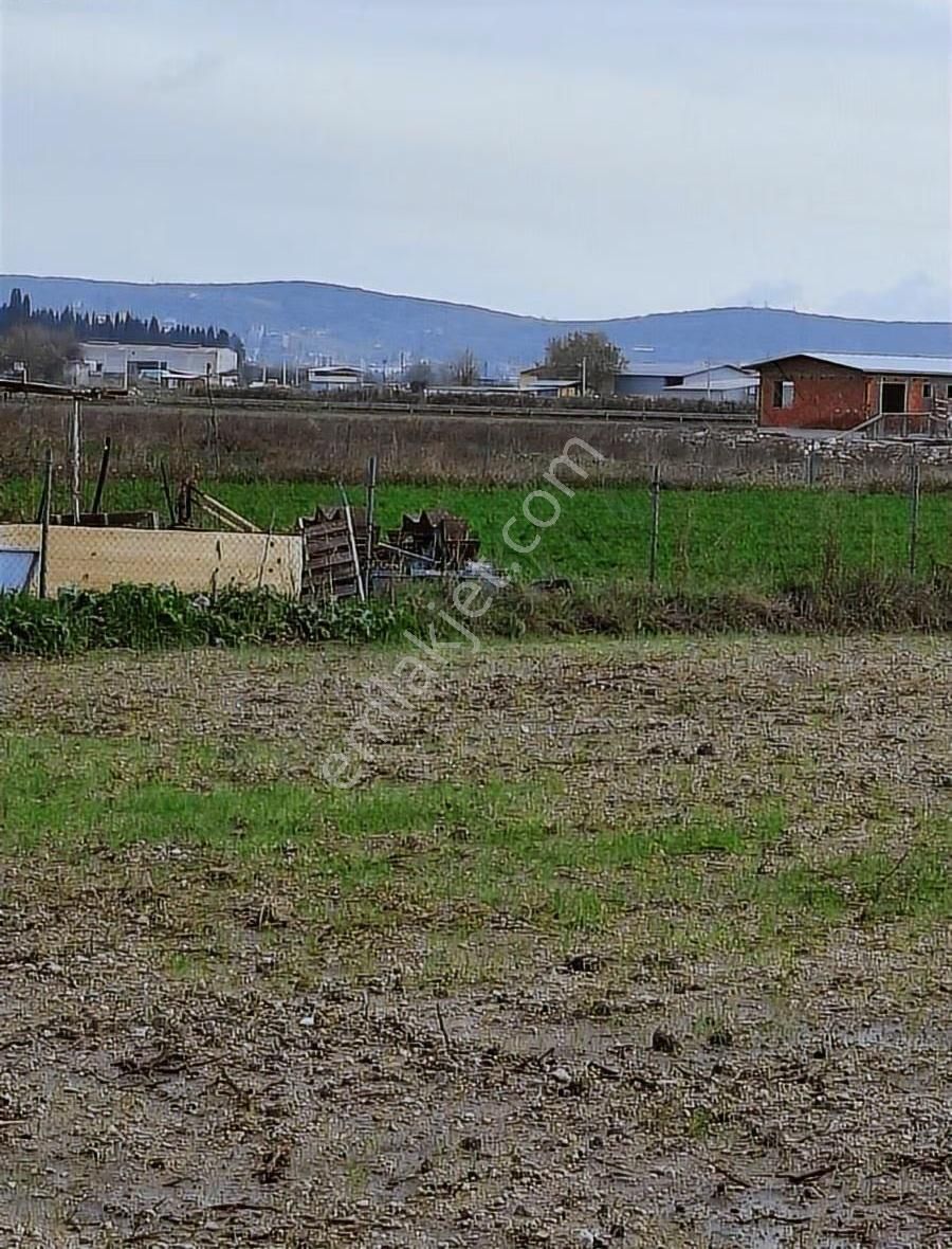 Foça Gerenköyde 5700 M2 Tek Tapu Arazim Acil Satılıktır - Görsel 10