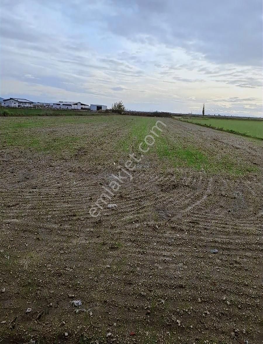 Foça Gerenköyde 5700 M2 Tek Tapu Arazim Acil Satılıktır - Görsel 14