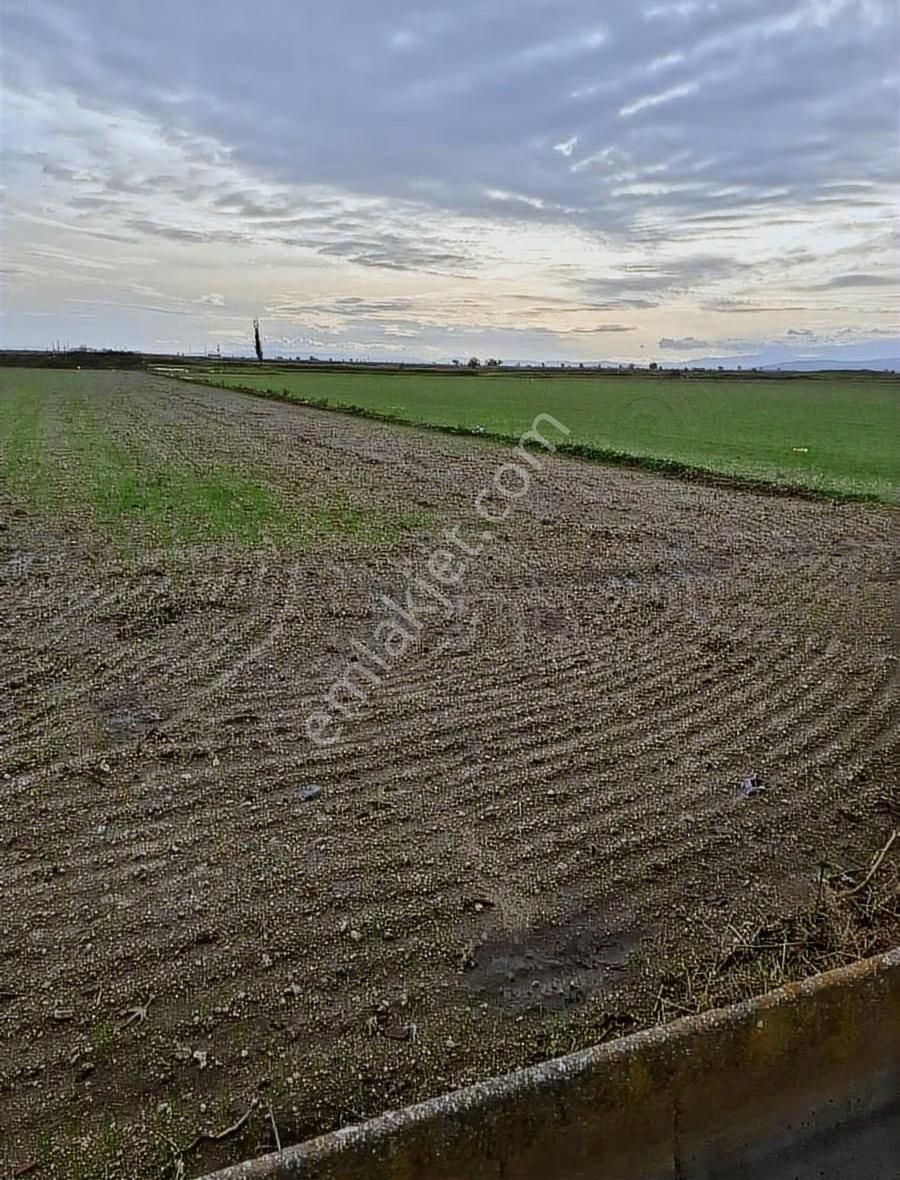 Foça Gerenköyde 5700 M2 Tek Tapu Arazim Acil Satılıktır - Görsel 17